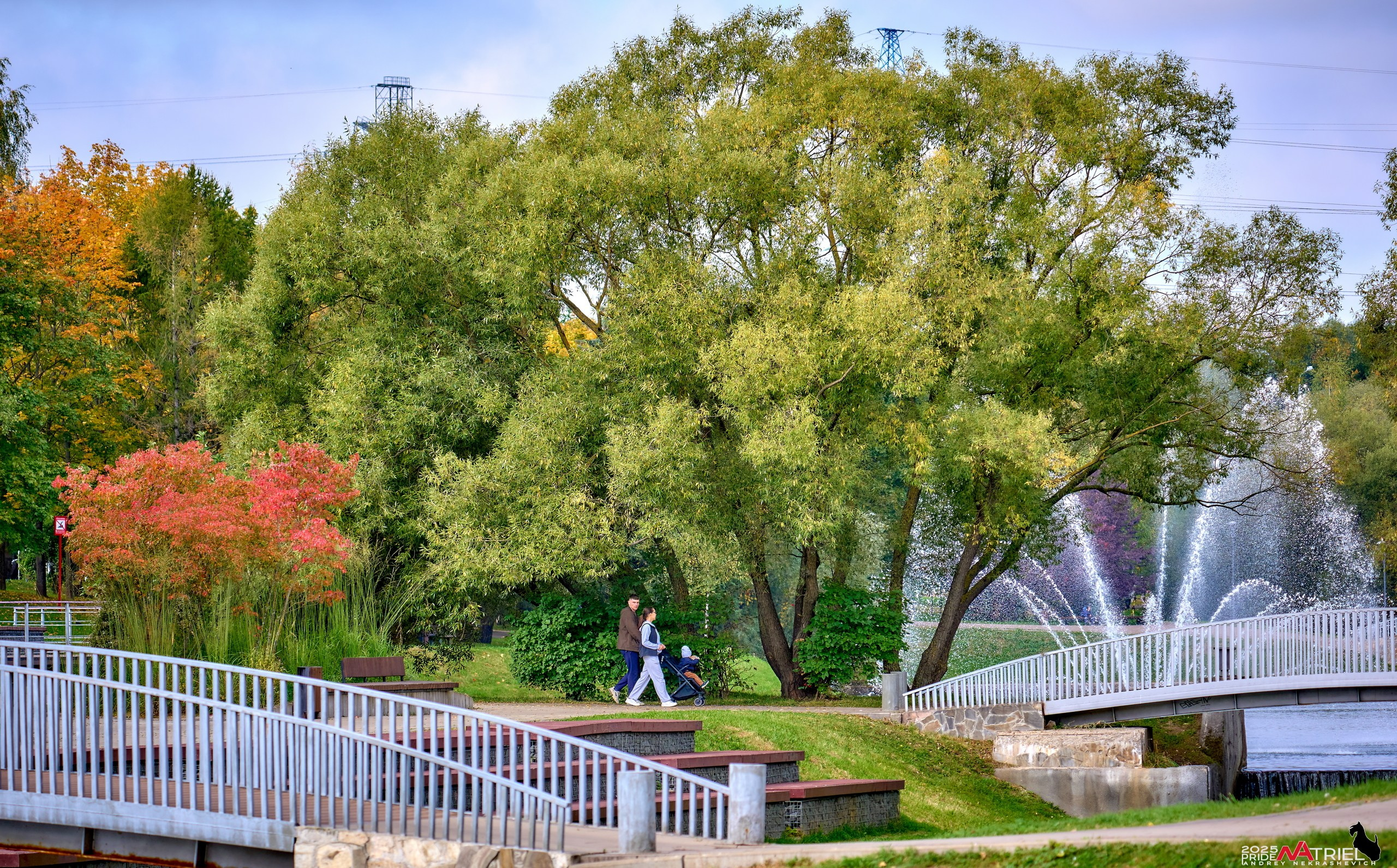 Съемка с объективом Sony 200-600 на камеру Sony A1m2