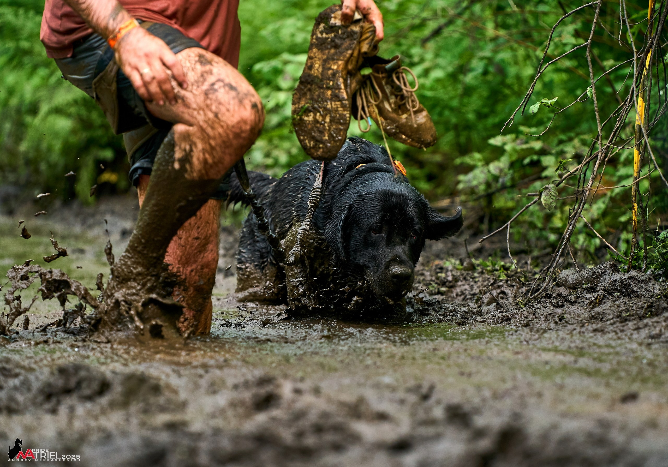 Russian Extreme Dog Trail — 2025