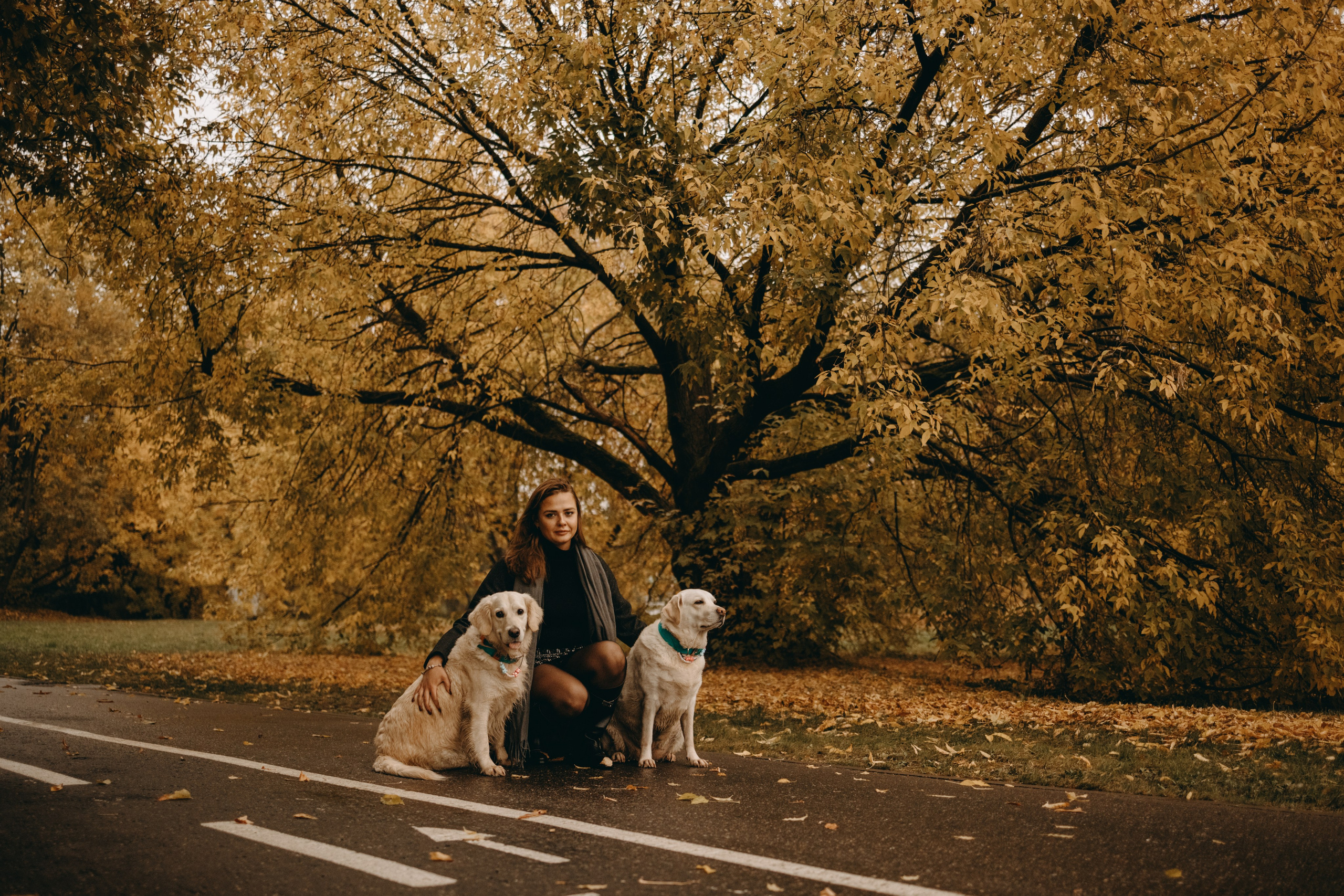 Женя и ее девочки. Фотограф — Анималист | Санкт-Петербург