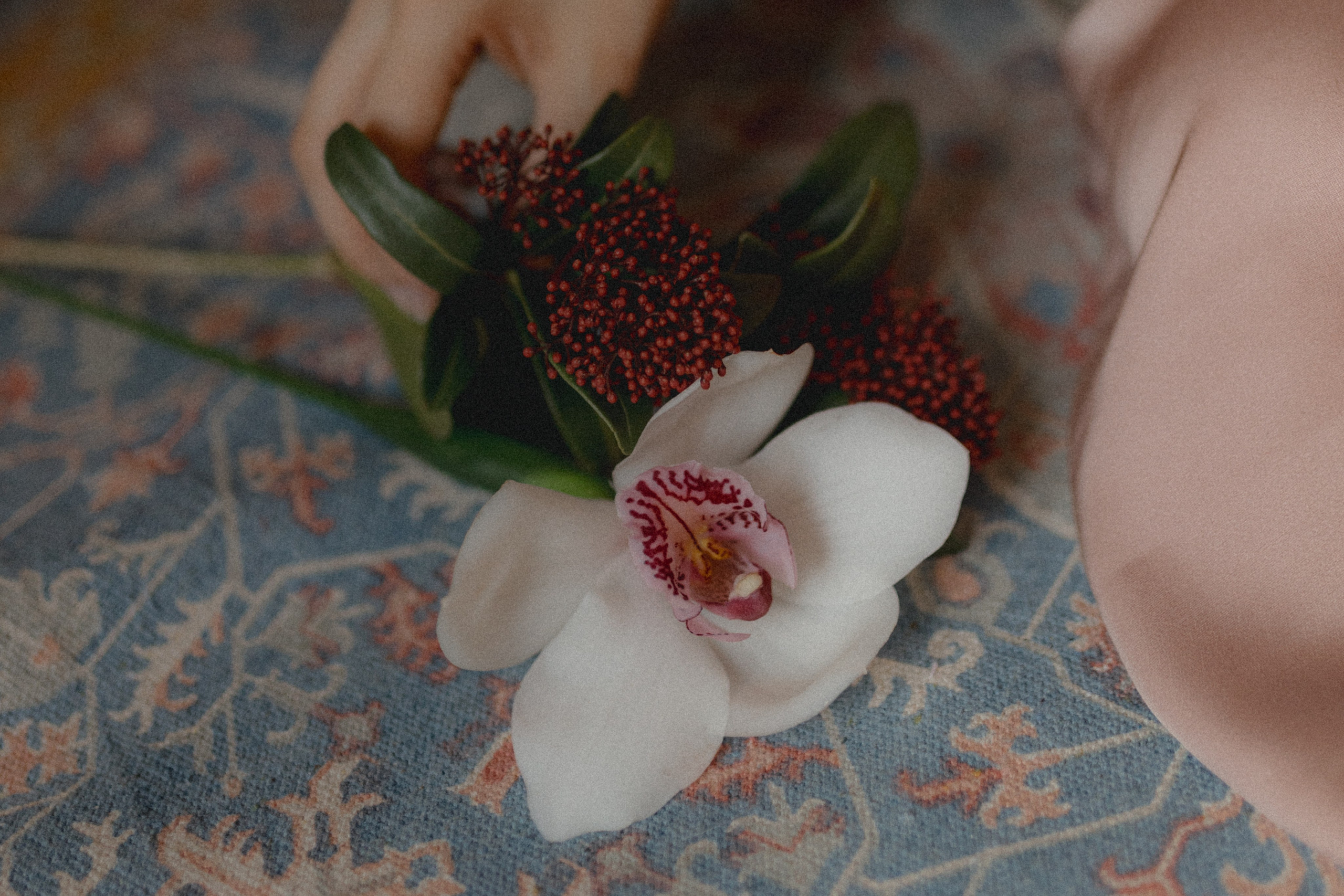 Анастасия. Фотограф НОГИНСК, Москва, Анастасия Белая