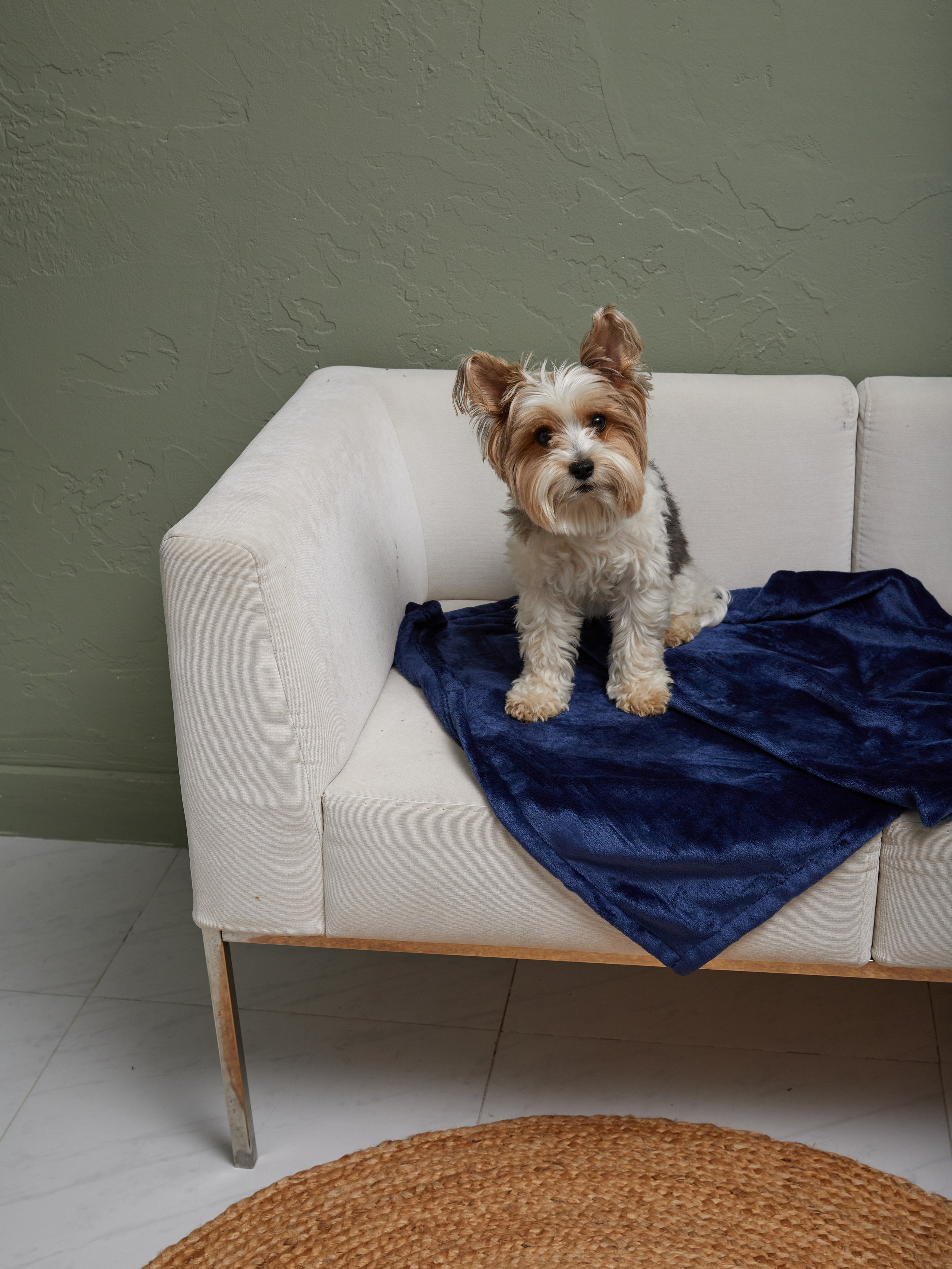 Лежанки. Фотограф