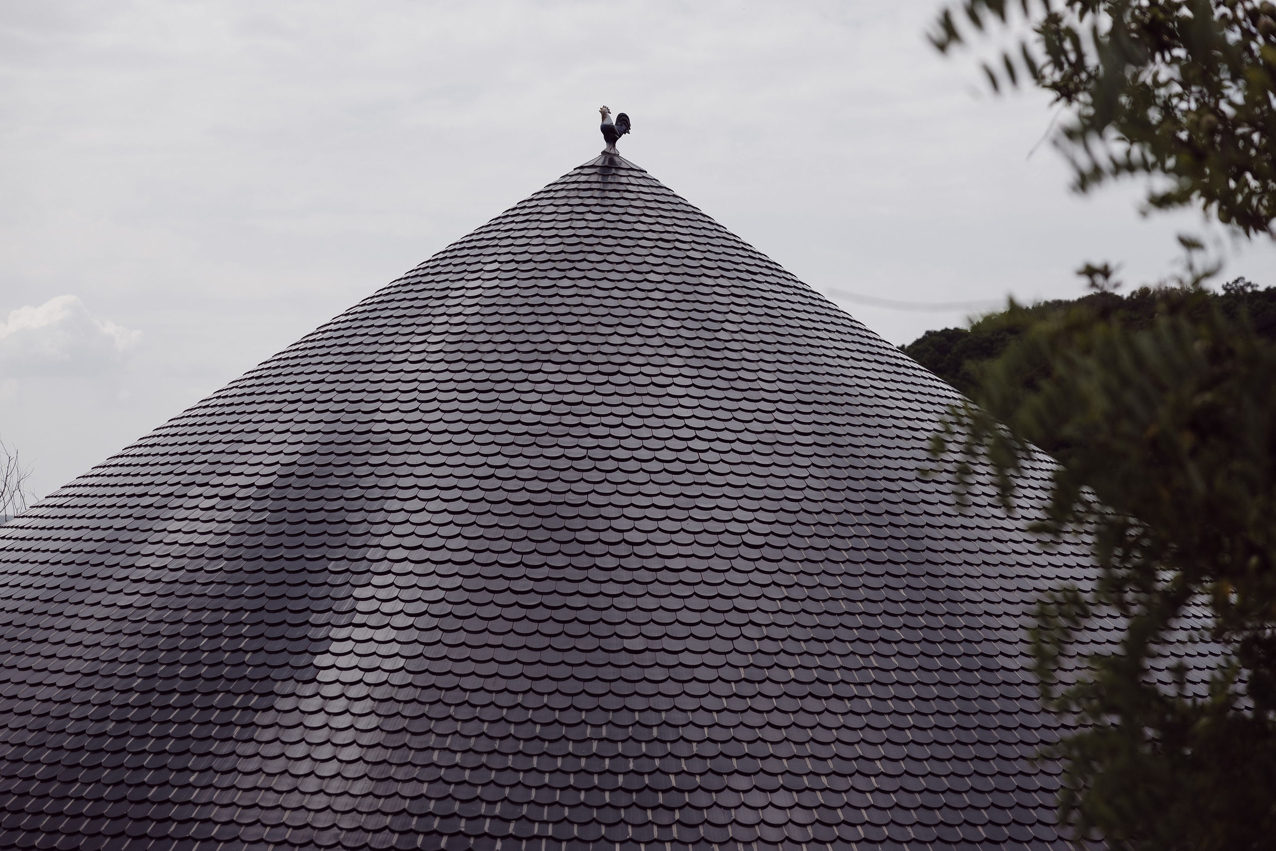 Катя и Дима. Свадебный и репортажный фотограф Новороссийск Краснодар Сочи Крым Данила Данилов