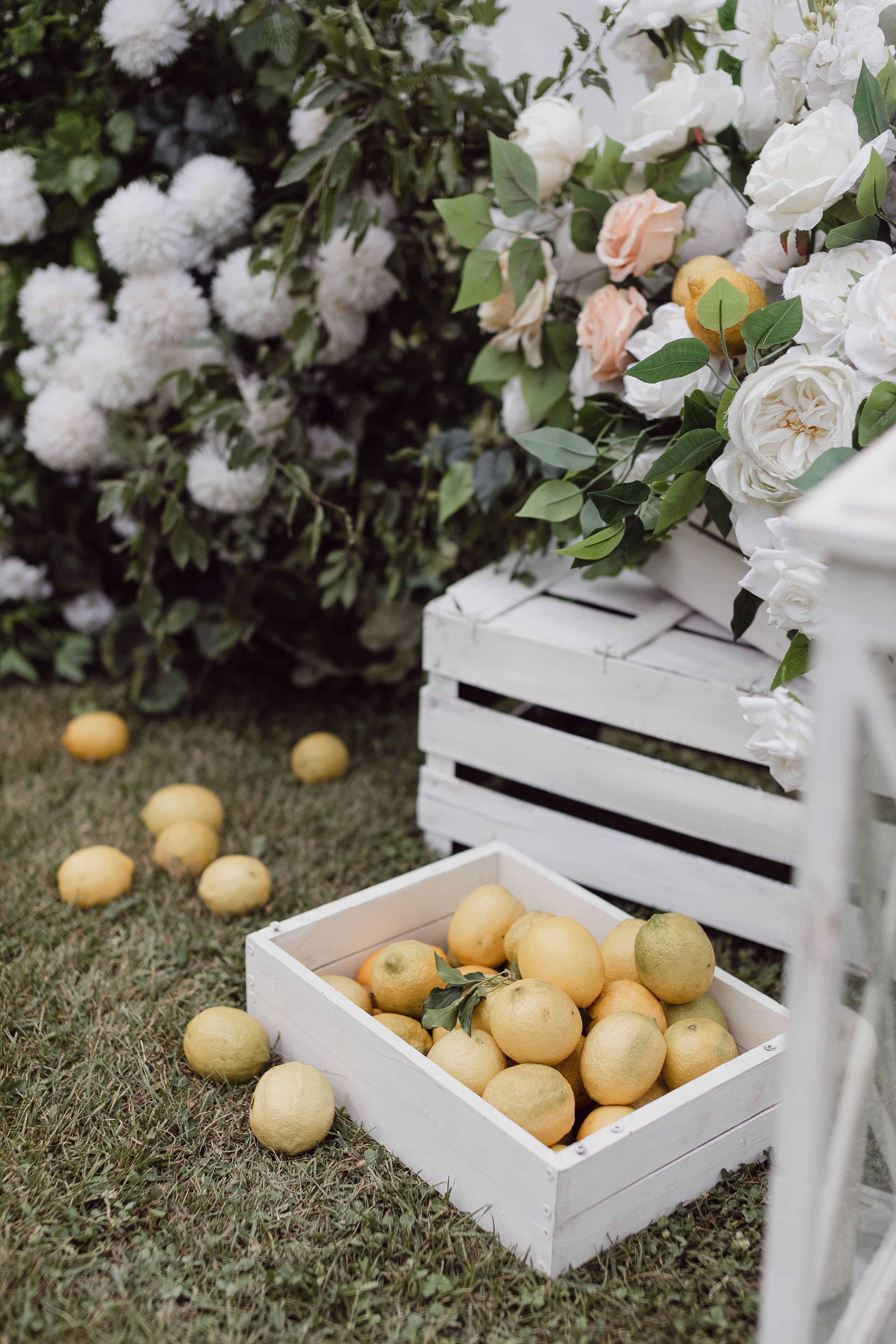 Катя и Дима. Свадебный и репортажный фотограф Новороссийск Краснодар Сочи Крым Данила Данилов