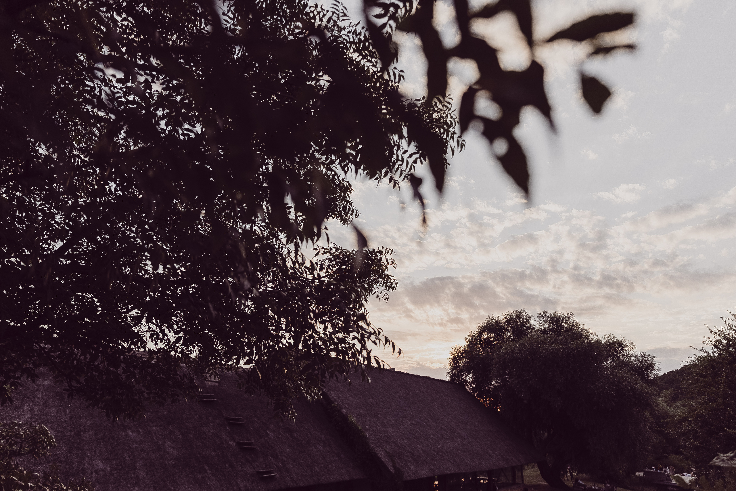 Катя и Дима. Свадебный и репортажный фотограф Новороссийск Краснодар Сочи Крым Данила Данилов