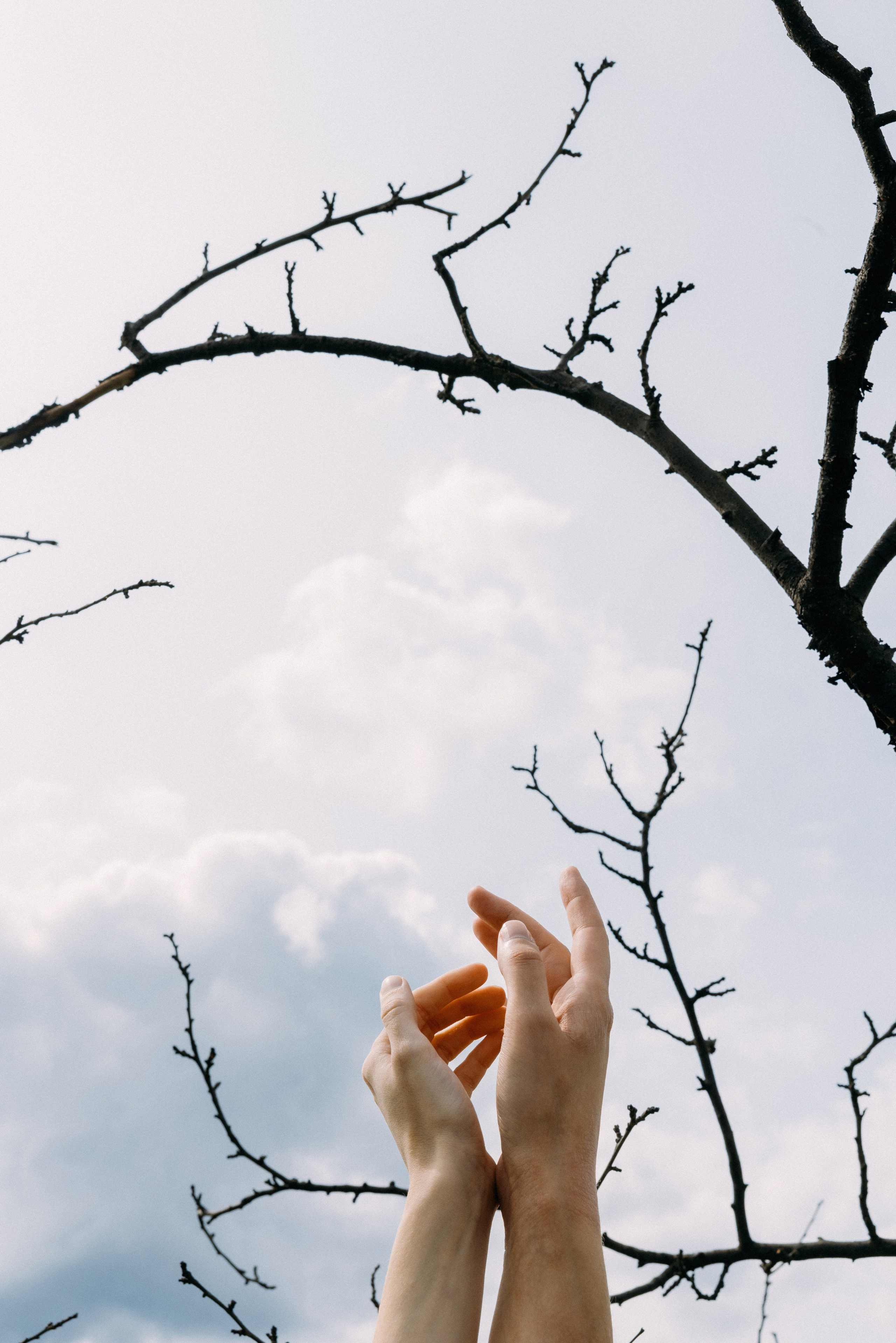 @avtors.agency. Свадебный и репортажный фотограф в Москве Владимир Сергеев | Naysaikolo