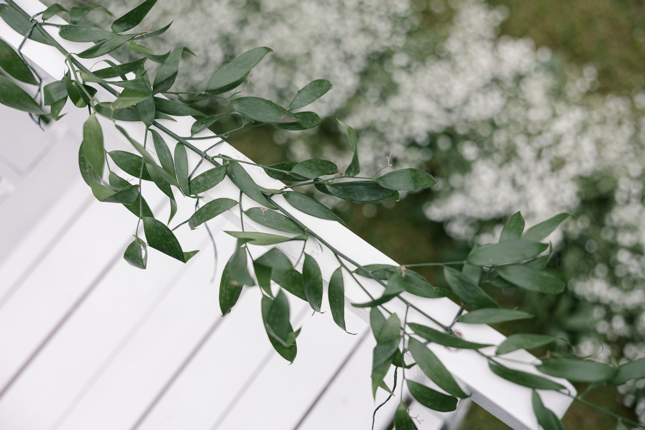Татьяна и Николай. Свадебный фотограф Москва