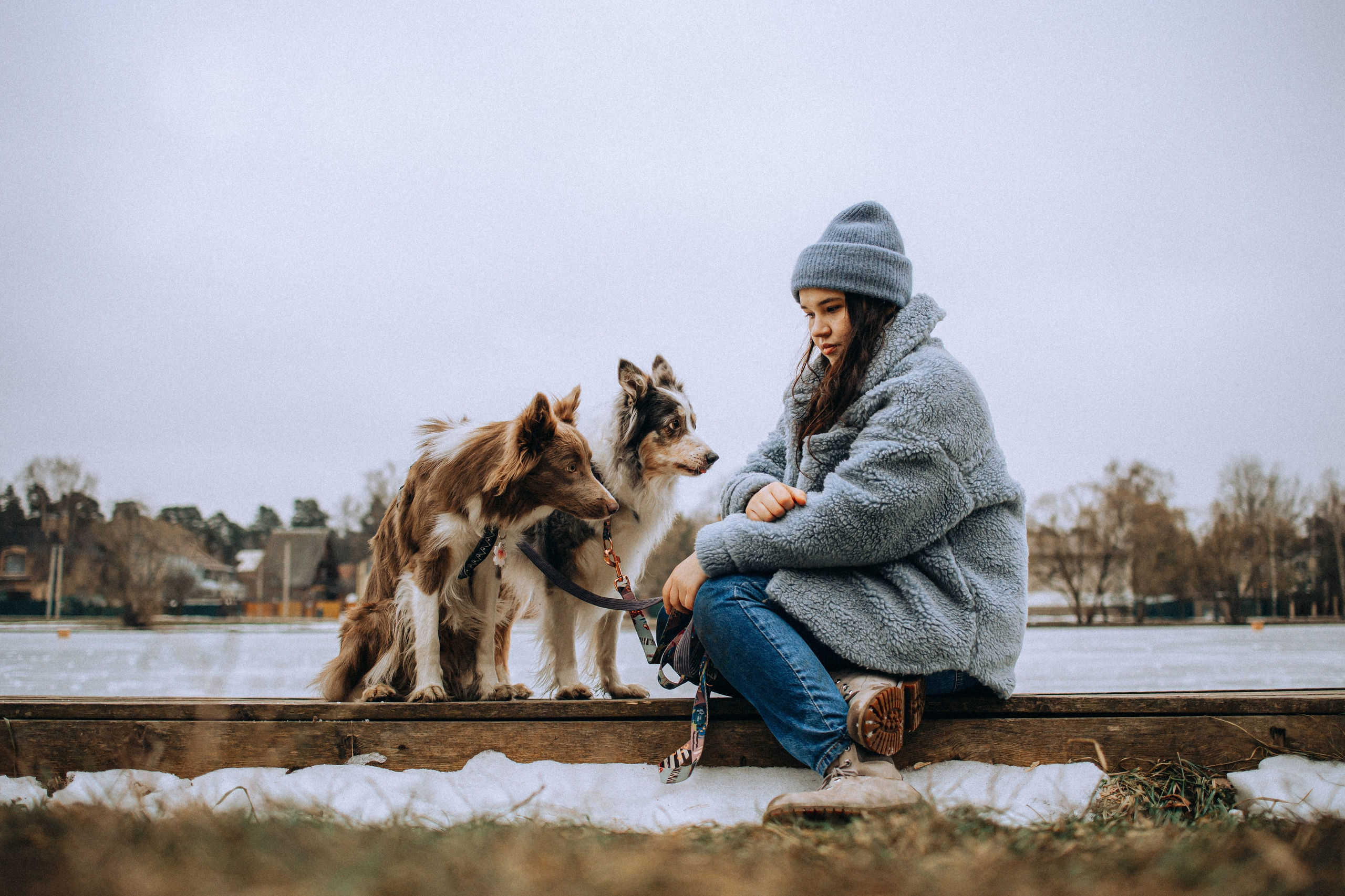 Полина, Милли и Паддингтон