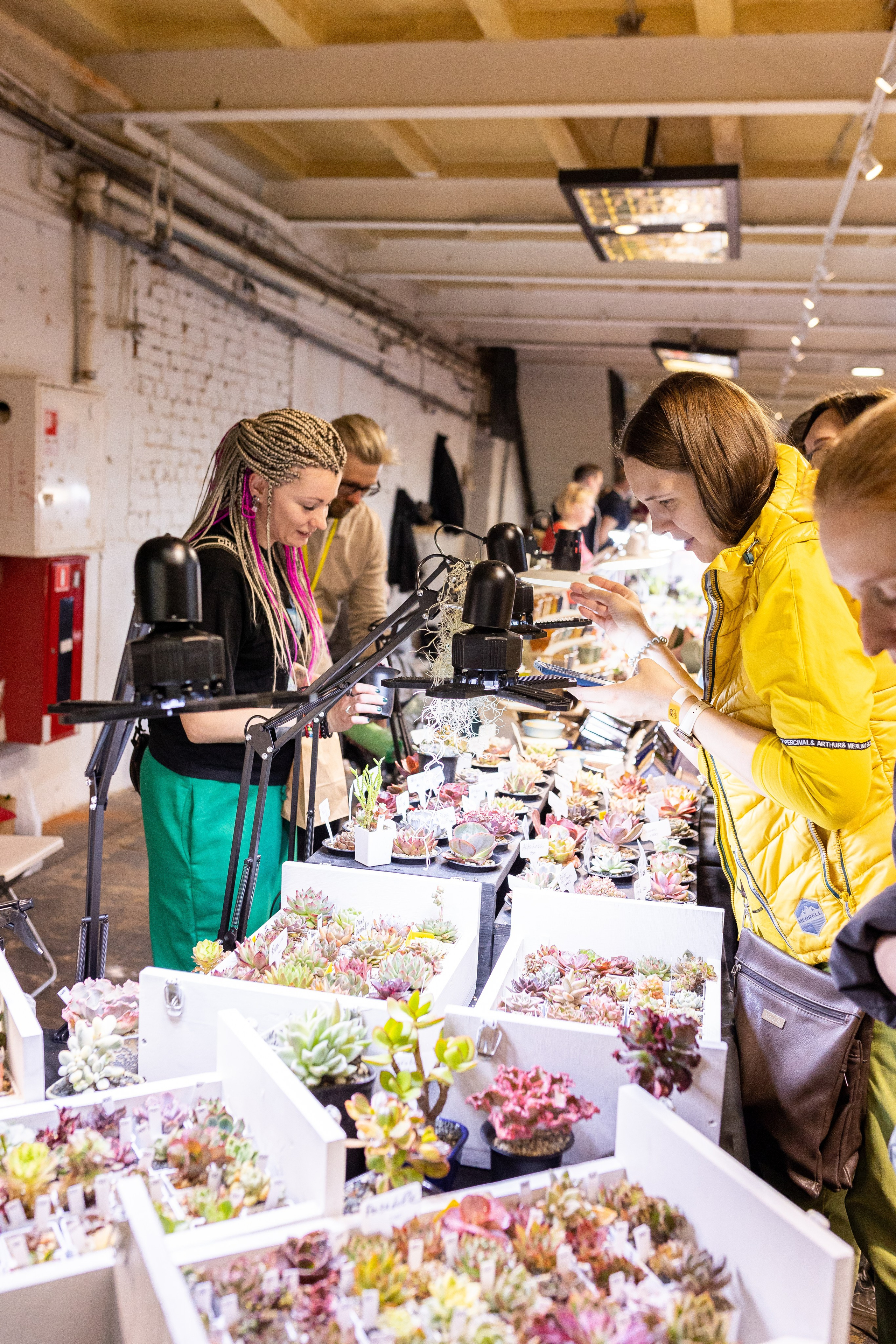 Meza market 2024. Александра Куликова фотограф, Москва