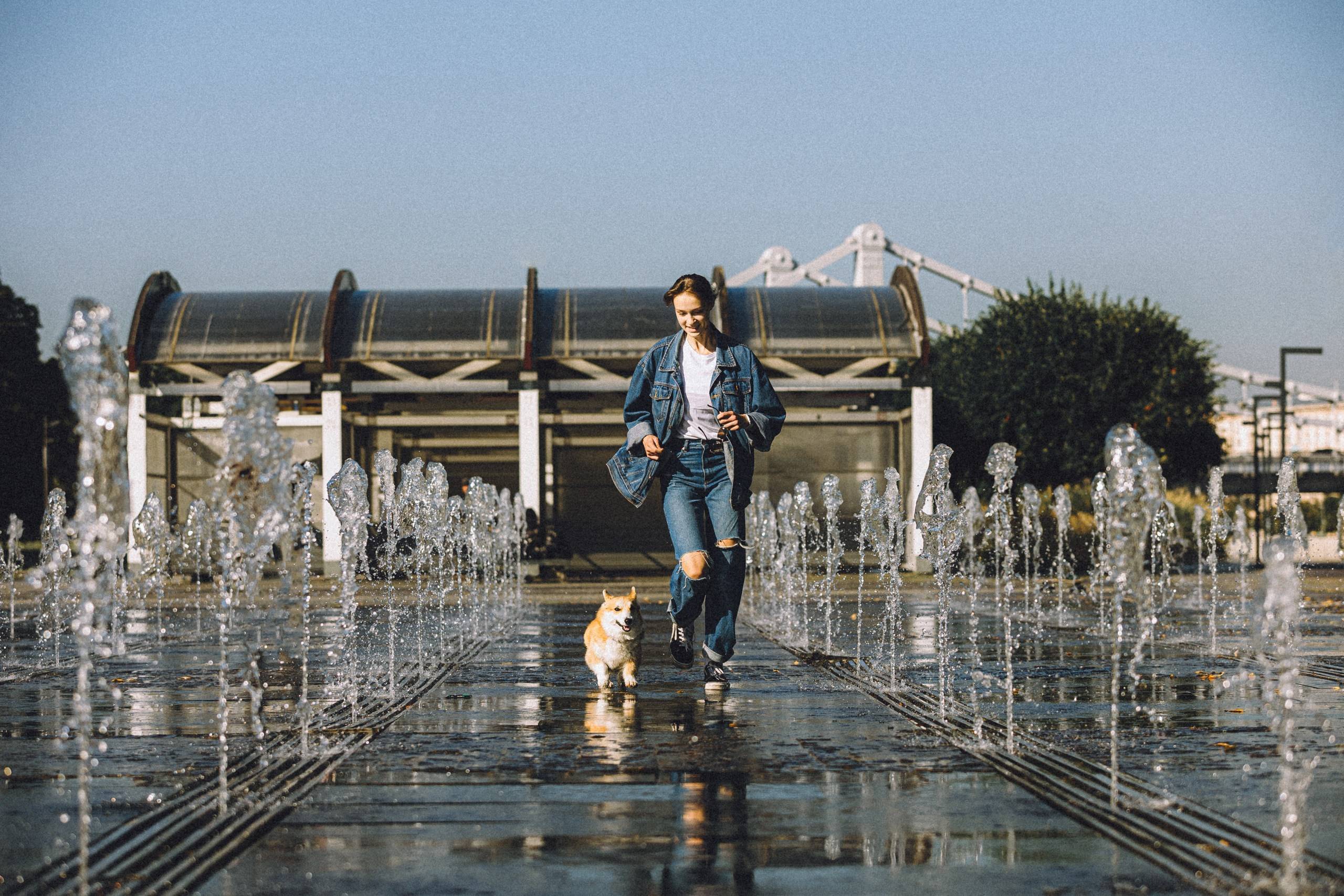 Где провести фотосессию с собакой в Москве: мои любимые места. Семейный фотограф животных, анималист в Москве Екатерина Киреева