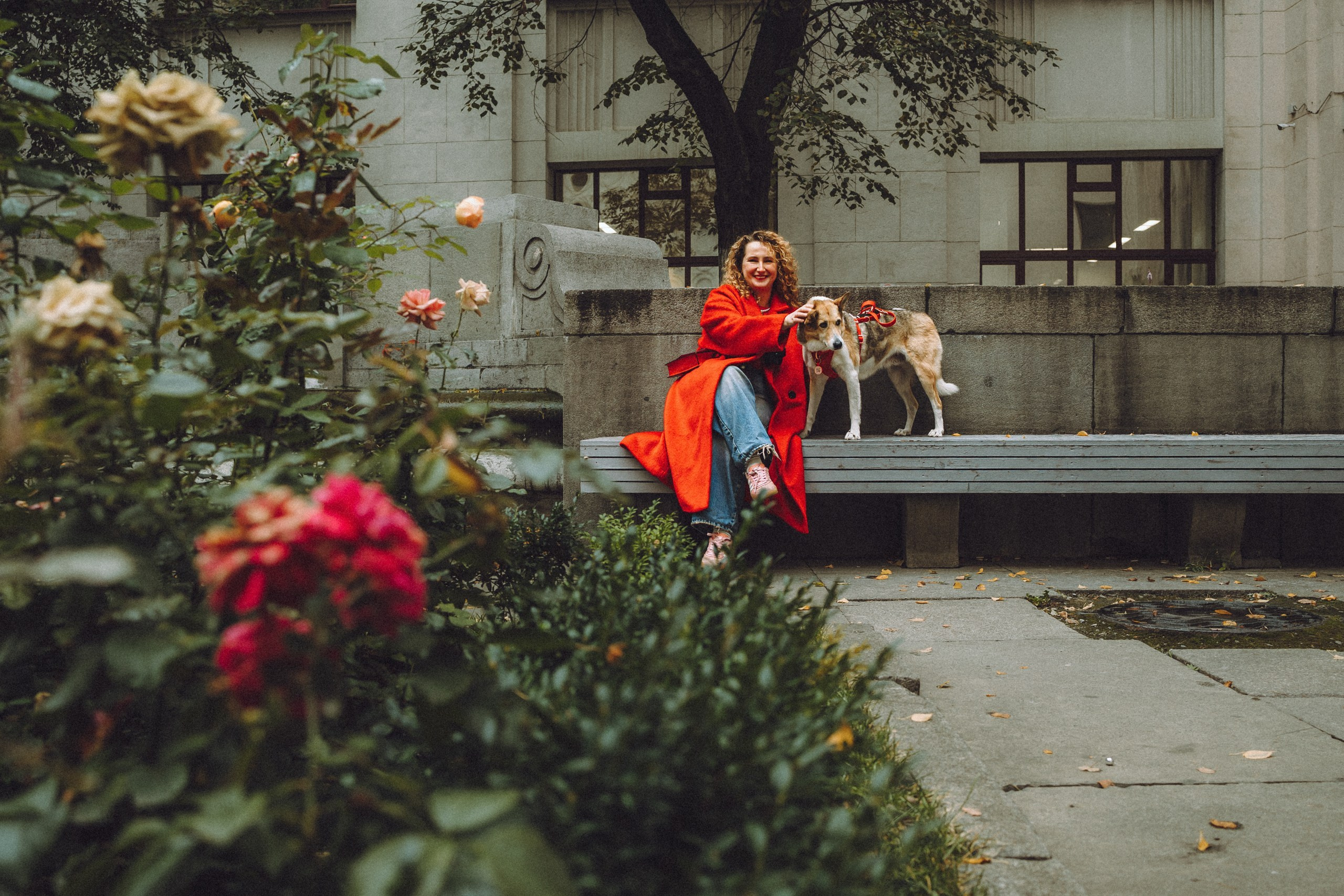 Где провести фотосессию с собакой в Москве: мои любимые места. Семейный фотограф животных, анималист в Москве Екатерина Киреева