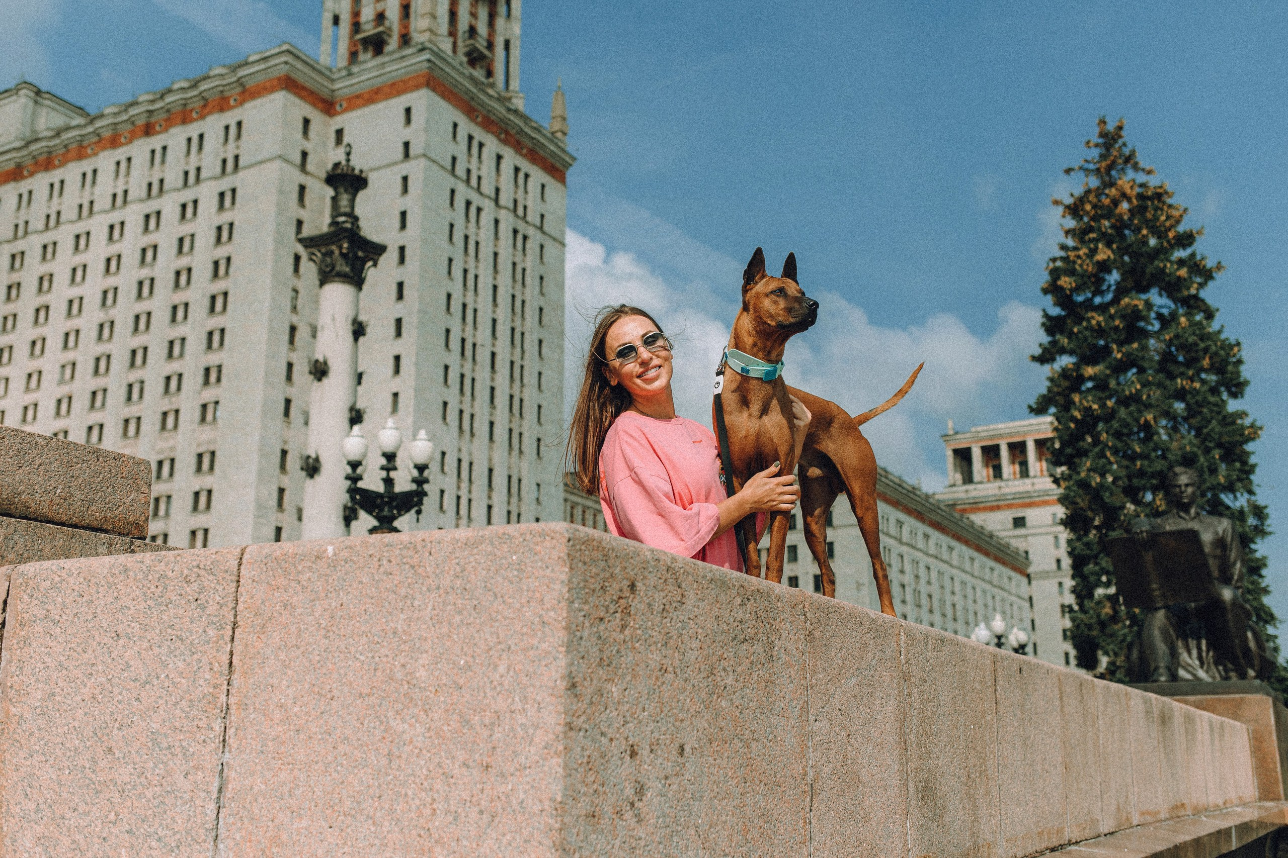 Где провести фотосессию с собакой в Москве: мои любимые места. Семейный фотограф животных, анималист в Москве Екатерина Киреева