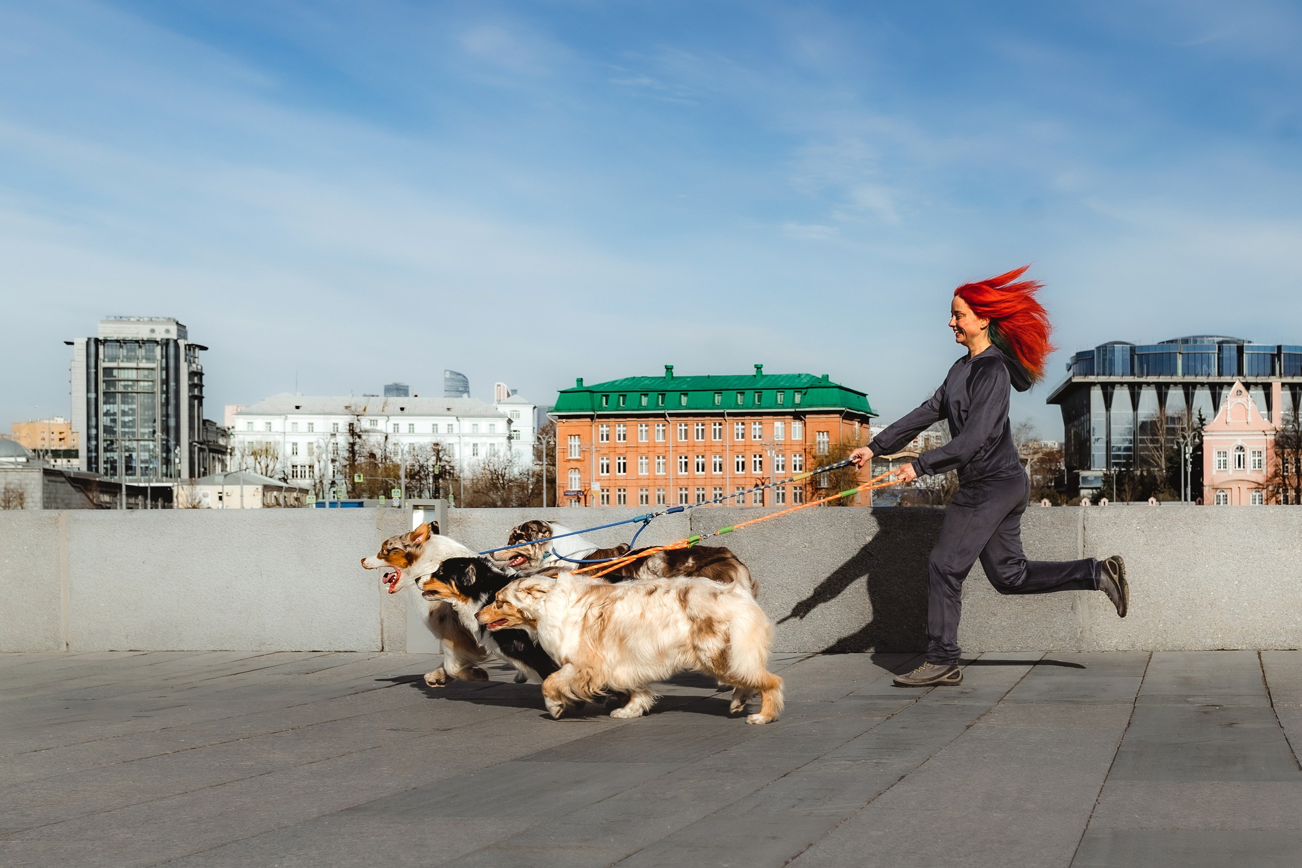 Где провести фотосессию с собакой в Москве: мои любимые места. Семейный фотограф животных, анималист в Москве Екатерина Киреева