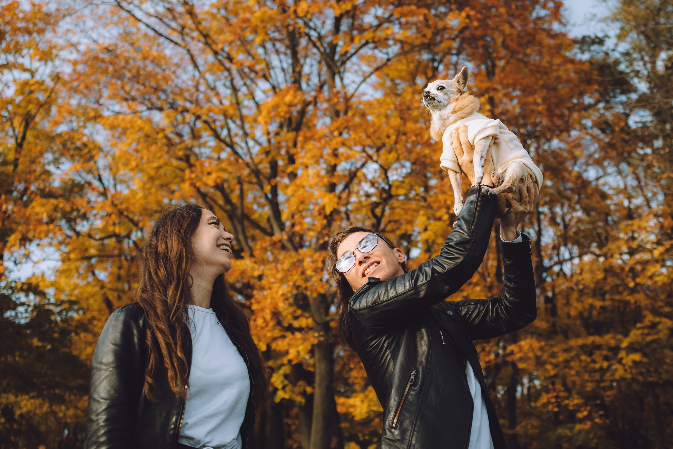 Кристина, Юля и Крэш. Семейный фотограф животных, анималист в Москве Екатерина Киреева