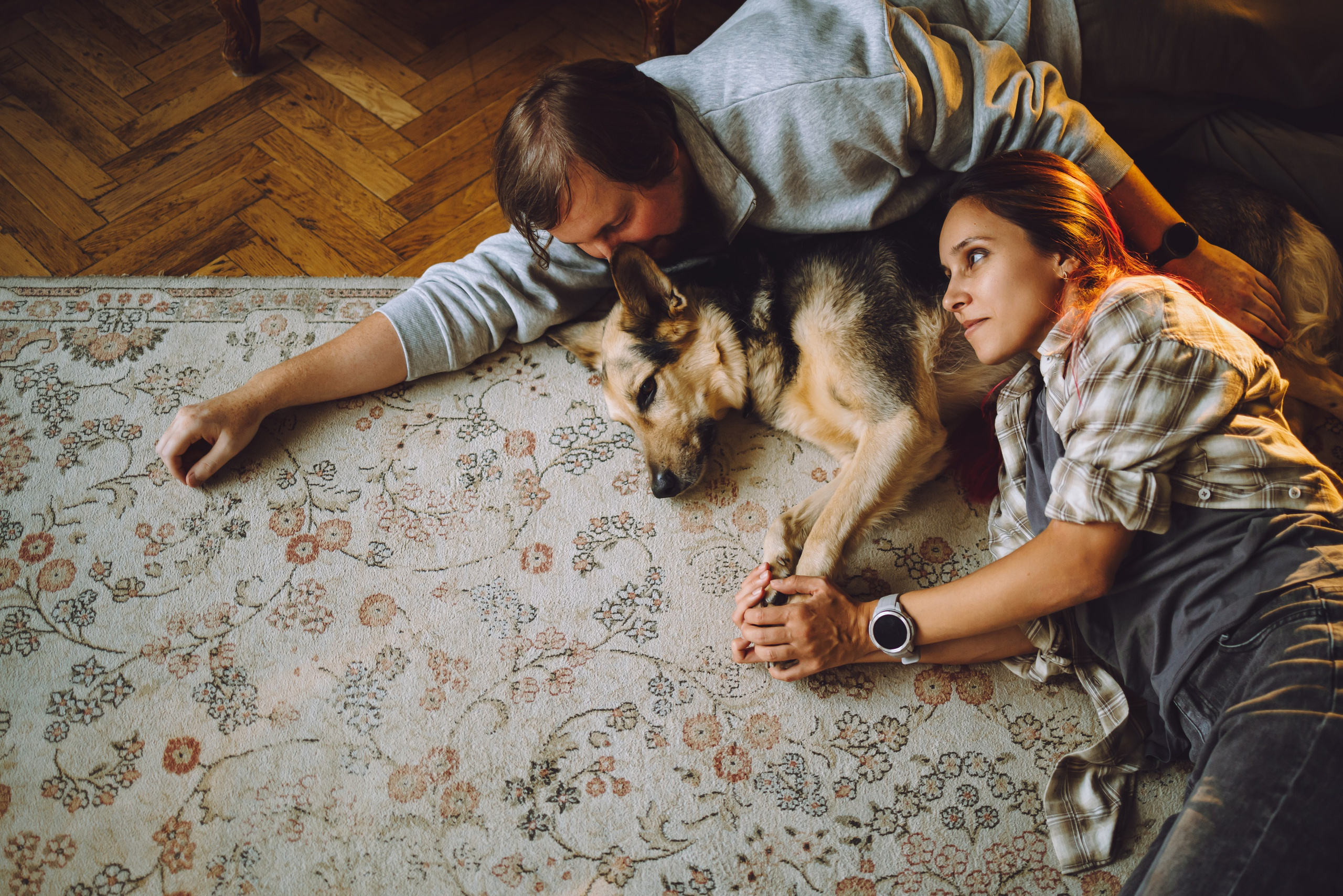 Джессика, Патрик и их семья. Семейный фотограф животных, анималист в Москве Екатерина Киреева