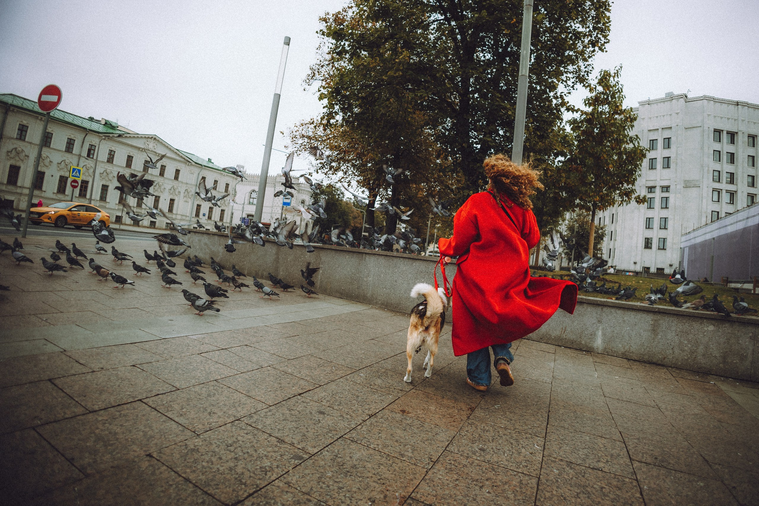 Где провести фотосессию с собакой в Москве: мои любимые места. Семейный фотограф животных, анималист в Москве Екатерина Киреева