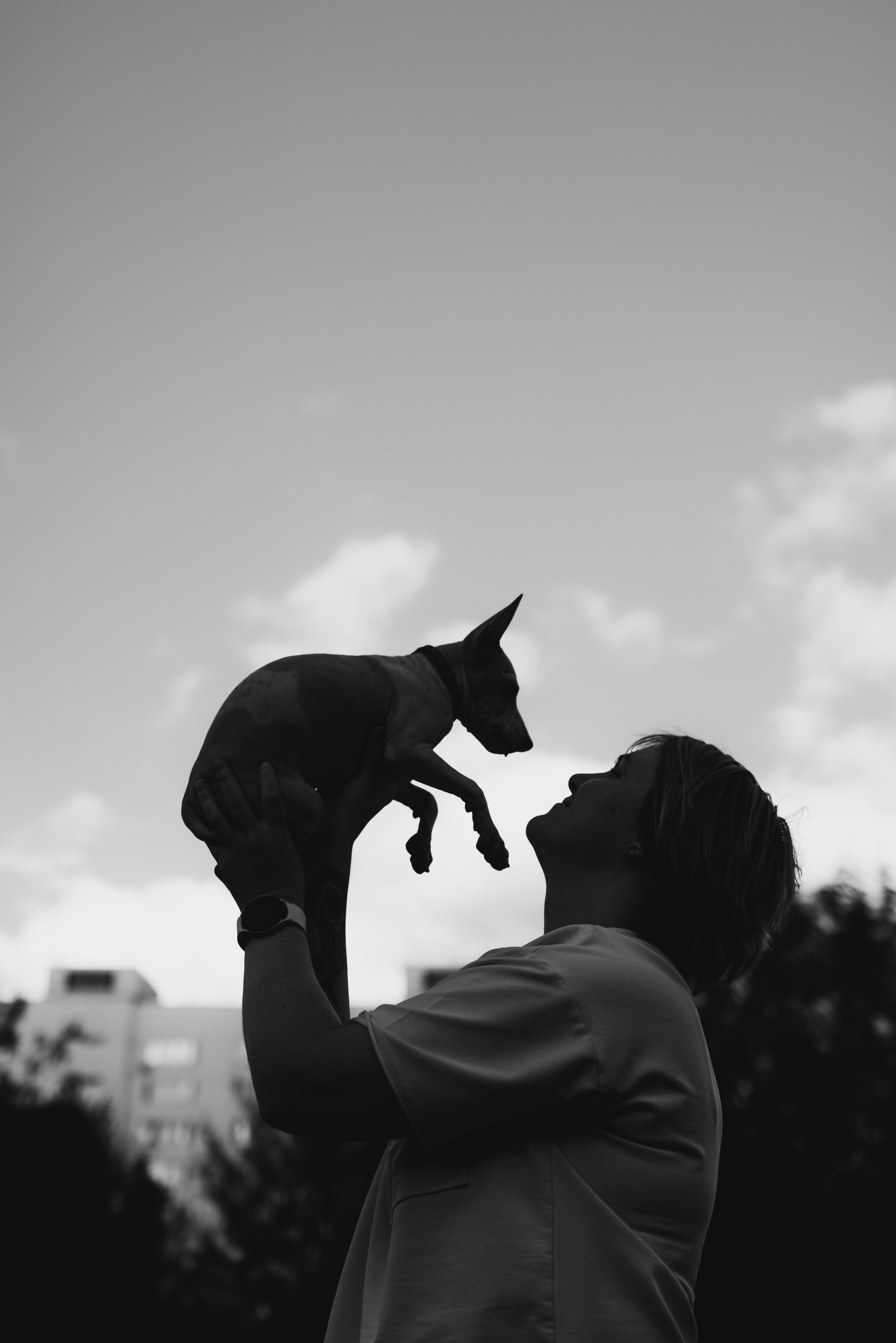 Грей, Терри и их семья. Семейный фотограф животных, анималист в Москве Екатерина Киреева
