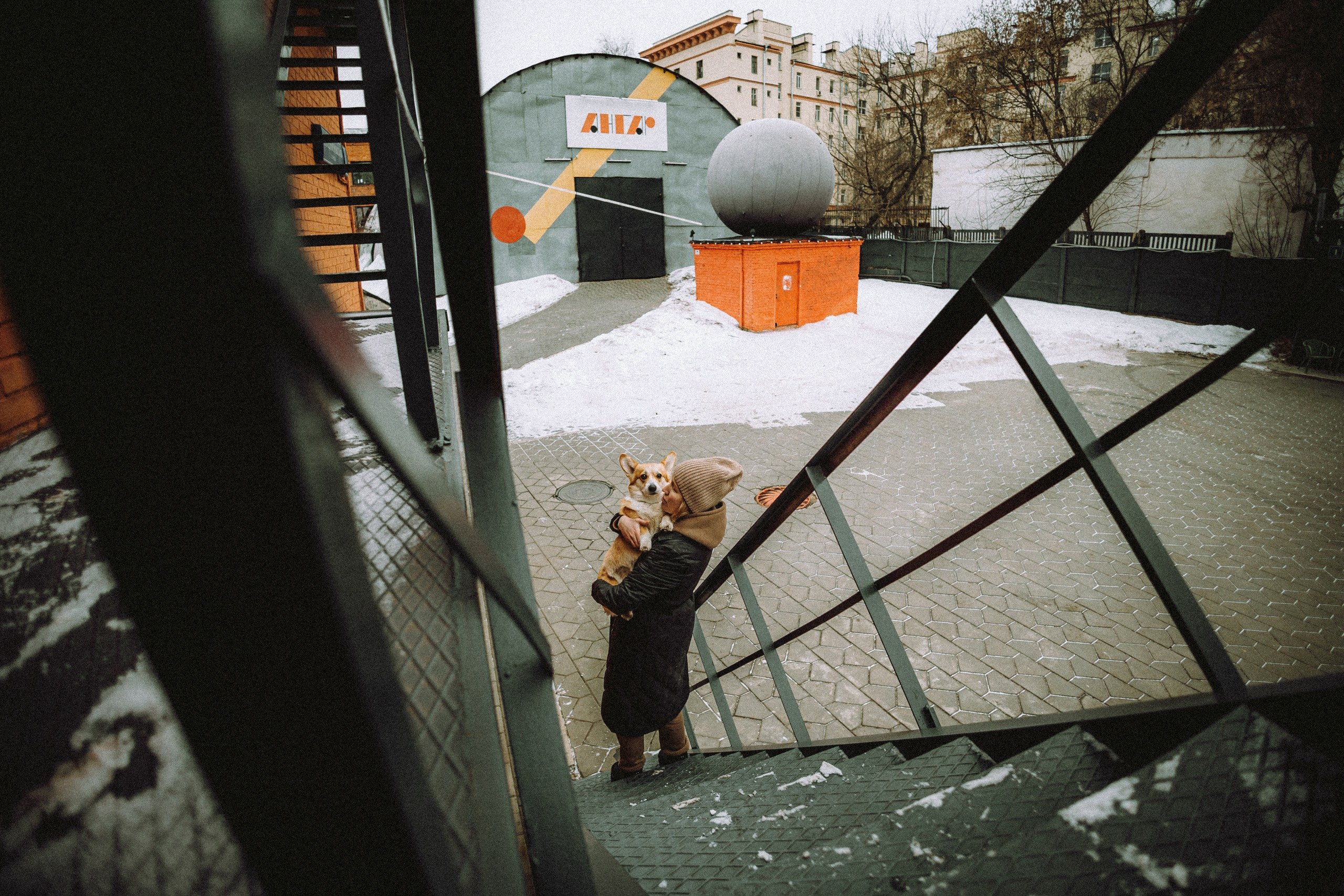 Где провести фотосессию с собакой в Москве: мои любимые места. Семейный фотограф животных, анималист в Москве Екатерина Киреева