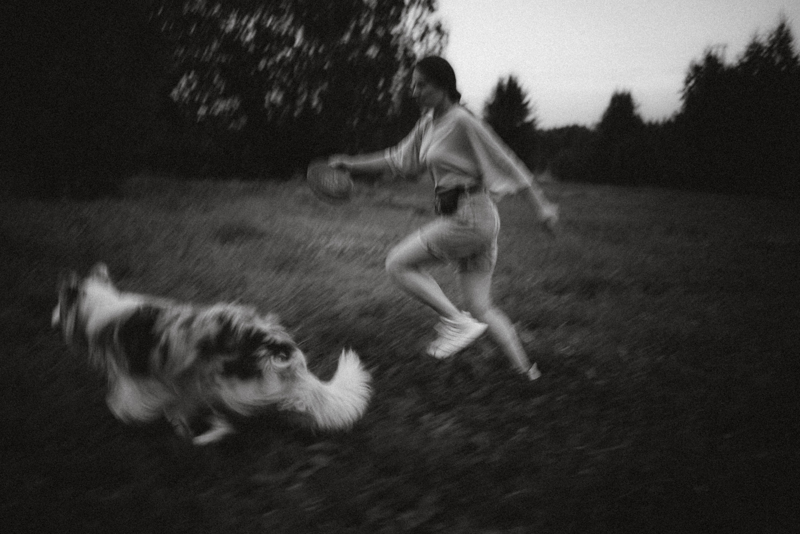 Шерлок и его семья. Семейный фотограф животных, анималист в Москве Екатерина Киреева