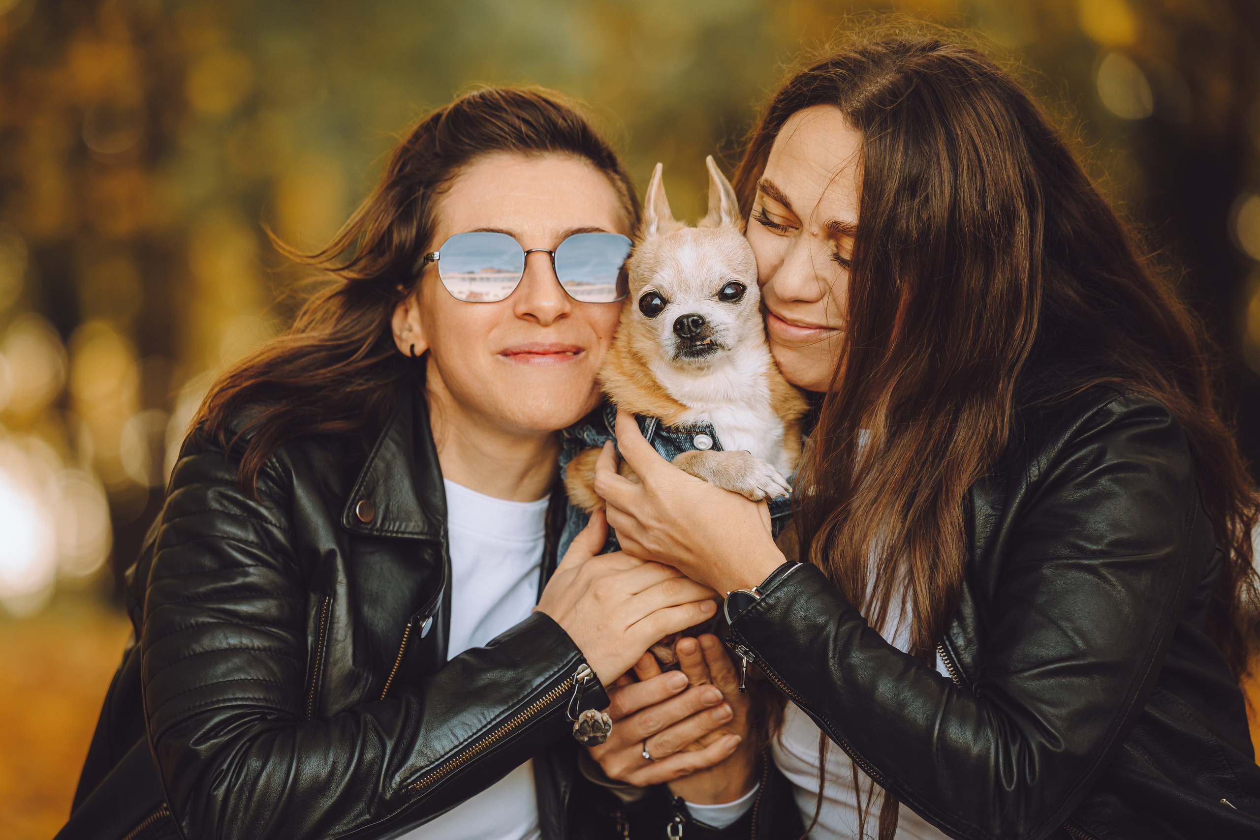 Кристина, Юля и Крэш. Семейный фотограф животных, анималист в Москве Екатерина Киреева