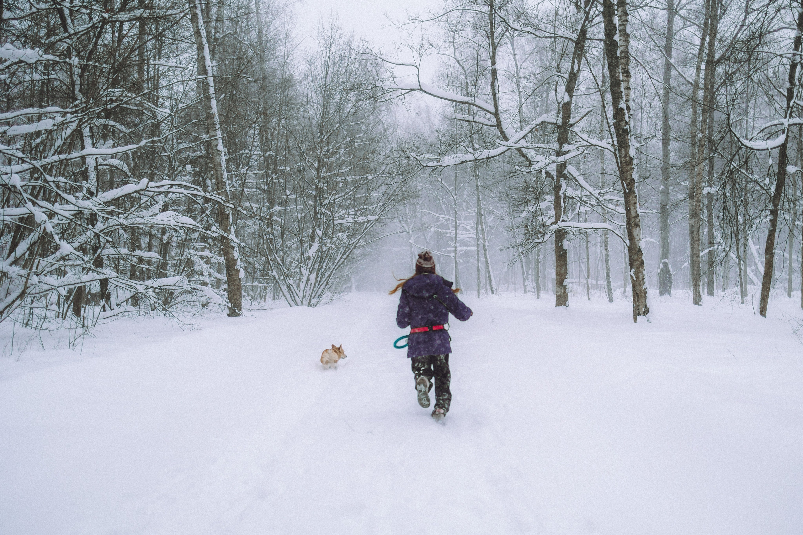 Юля и Юпитер