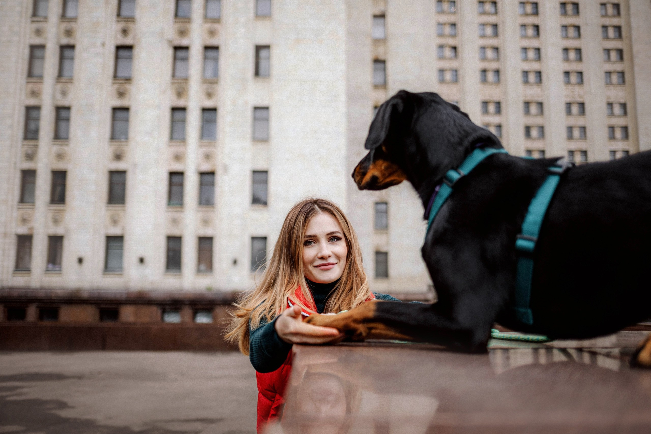 Где провести фотосессию с собакой в Москве: мои любимые места. Семейный фотограф животных, анималист в Москве Екатерина Киреева