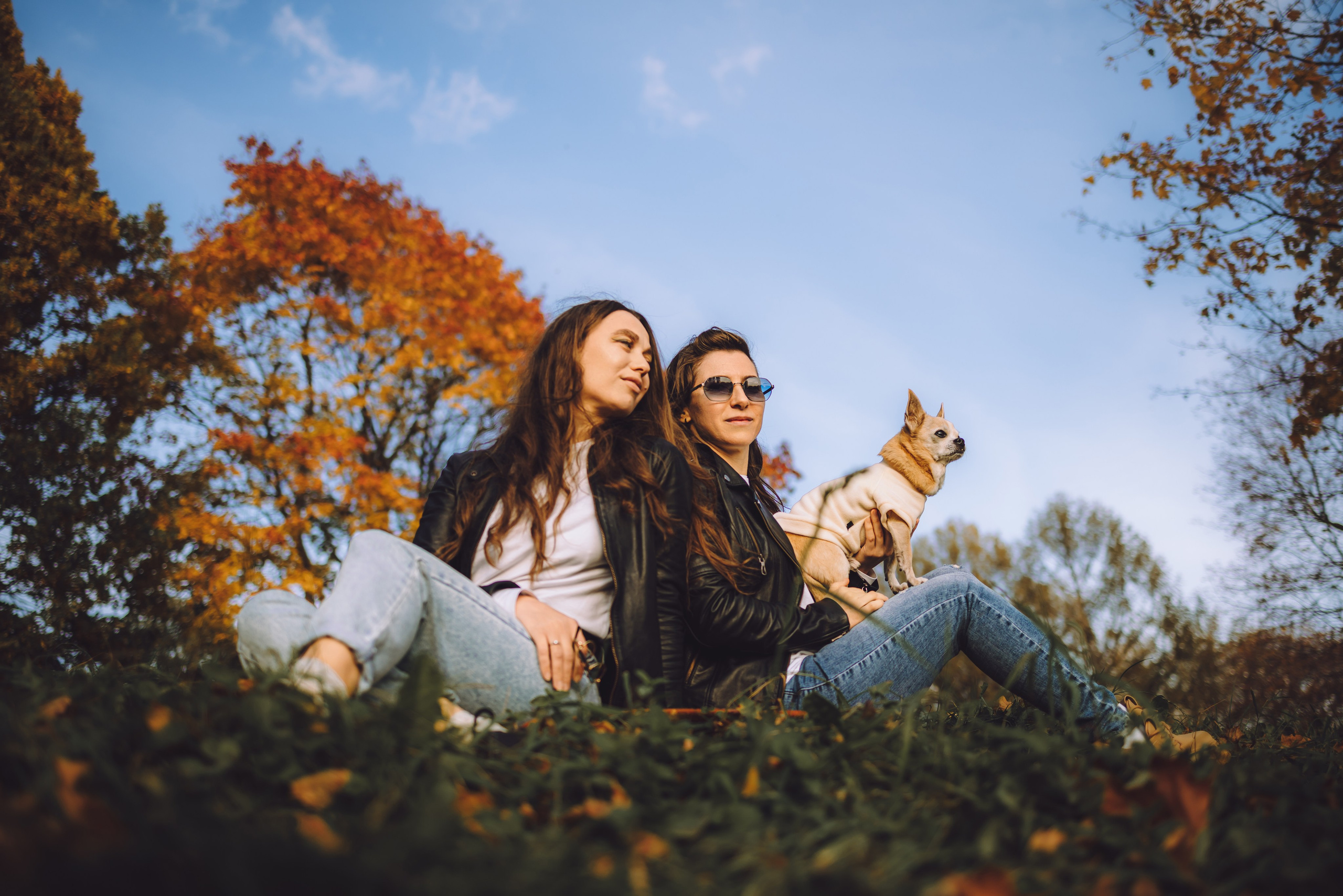 Кристина, Юля и Крэш. Семейный фотограф животных, анималист в Москве Екатерина Киреева