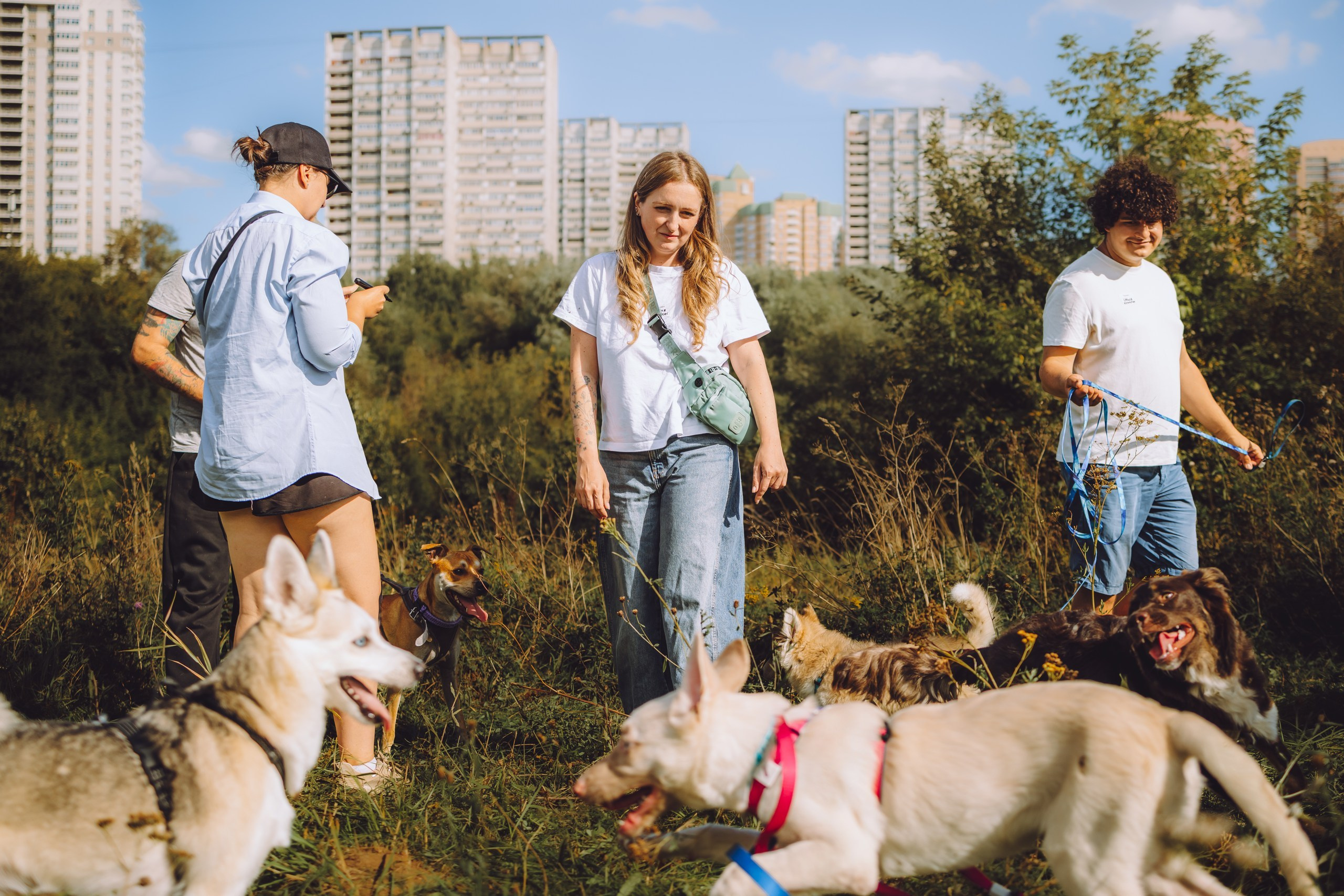 Встреча выпускников Kotofeiyski. Семейный фотограф животных, анималист в Москве Екатерина Киреева