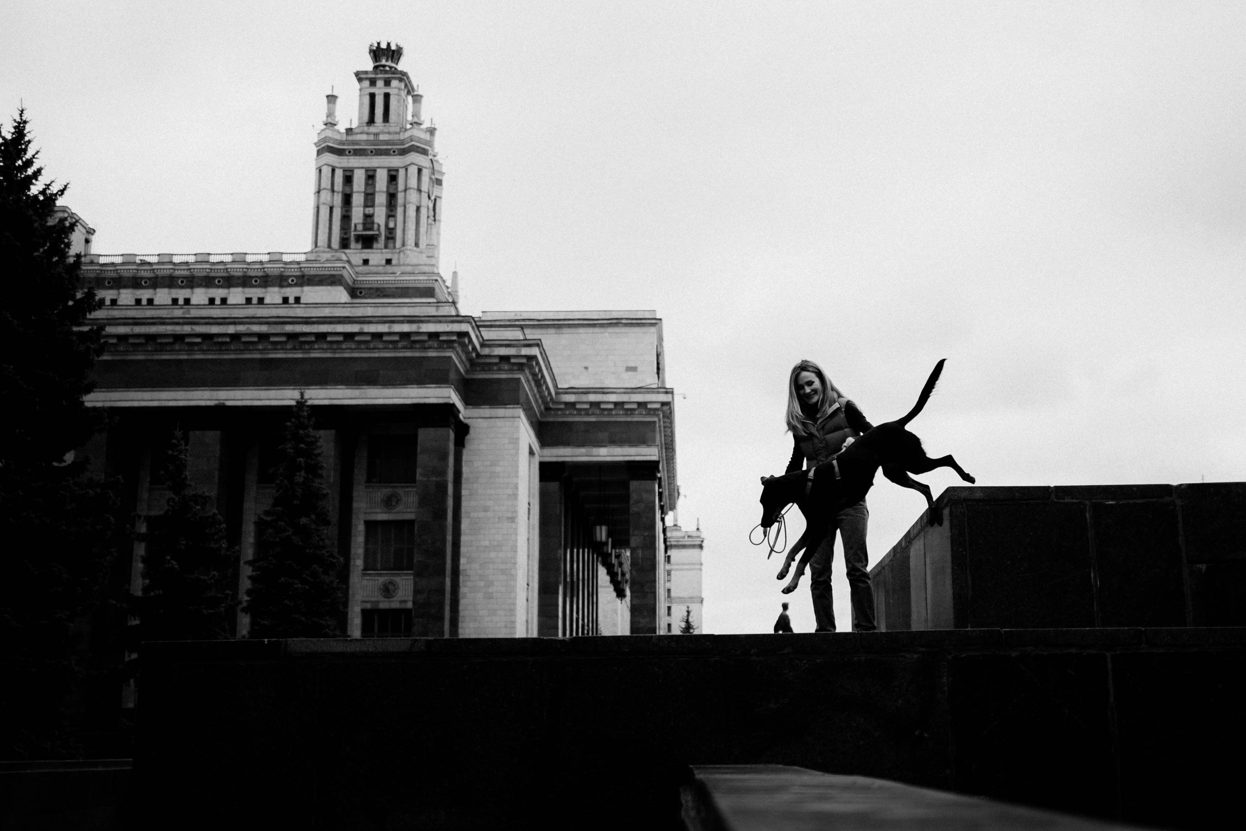 Где провести фотосессию с собакой в Москве: мои любимые места. Семейный фотограф животных, анималист в Москве Екатерина Киреева
