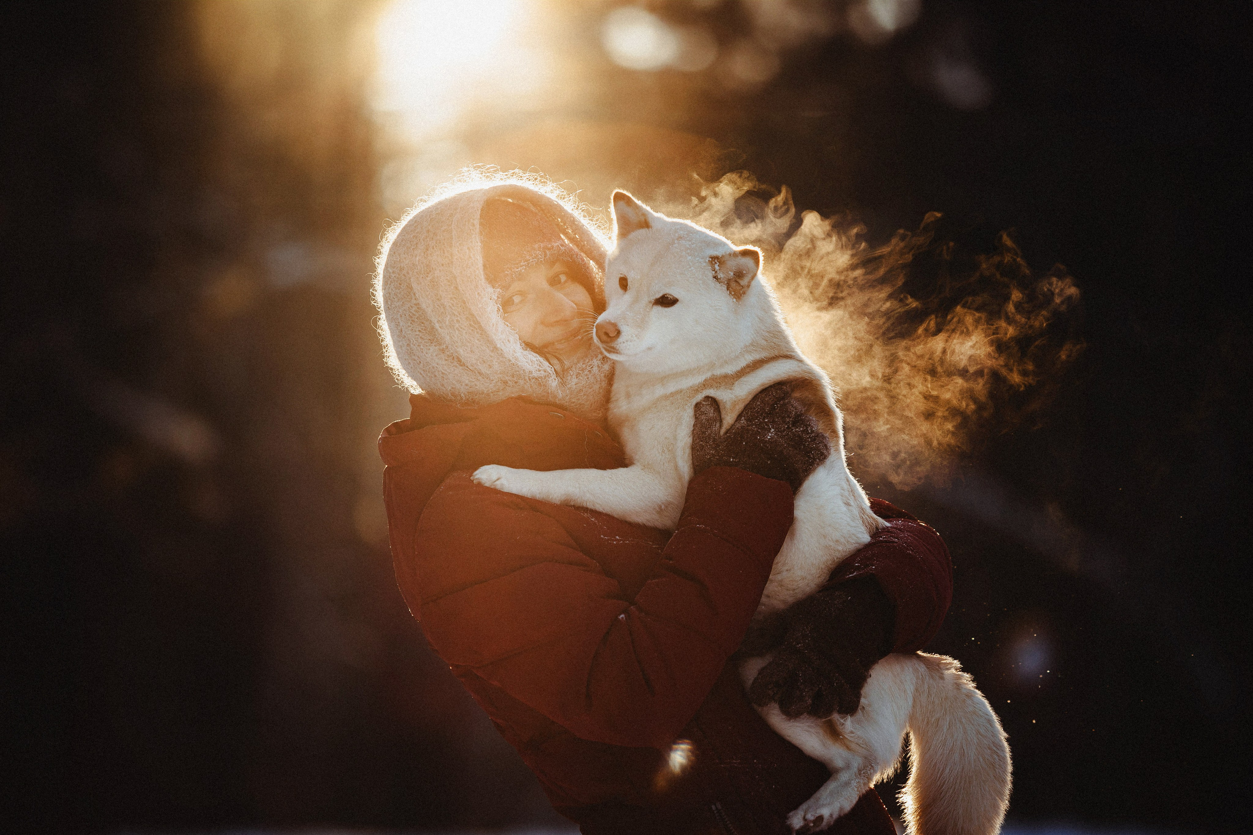 Шед, Цири и Ира