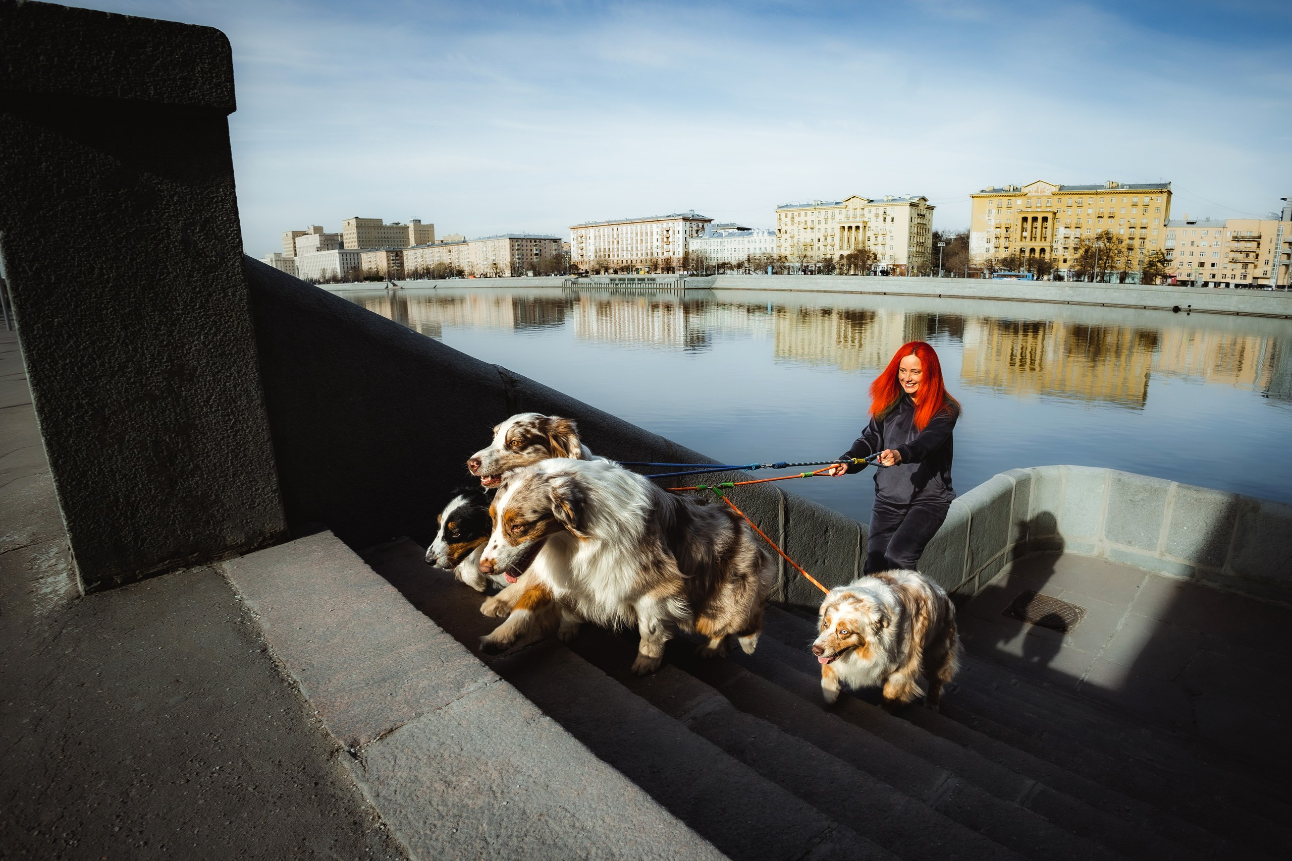 Где провести фотосессию с собакой в Москве: мои любимые места. Семейный фотограф животных, анималист в Москве Екатерина Киреева