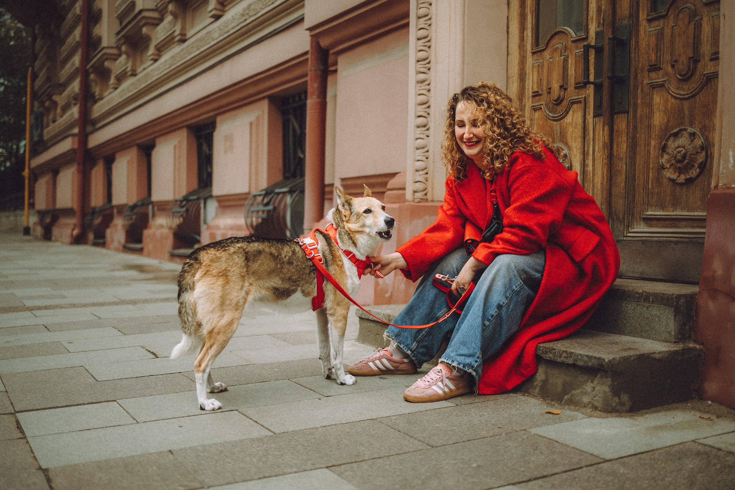 Где провести фотосессию с собакой в Москве: мои любимые места. Семейный фотограф животных, анималист в Москве Екатерина Киреева