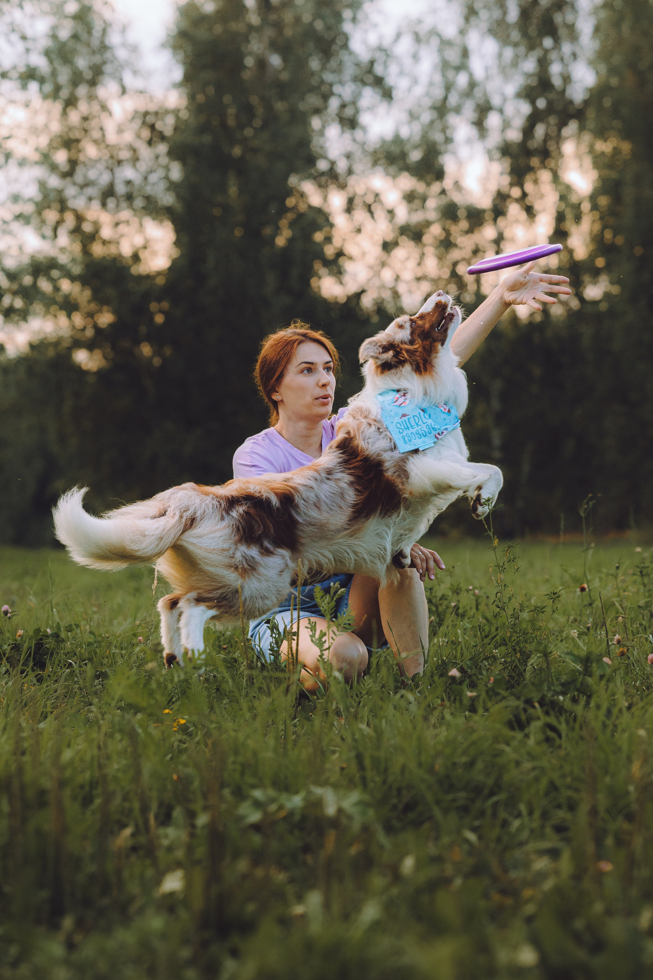 Шерлок и его семья. Семейный фотограф животных, анималист в Москве Екатерина Киреева