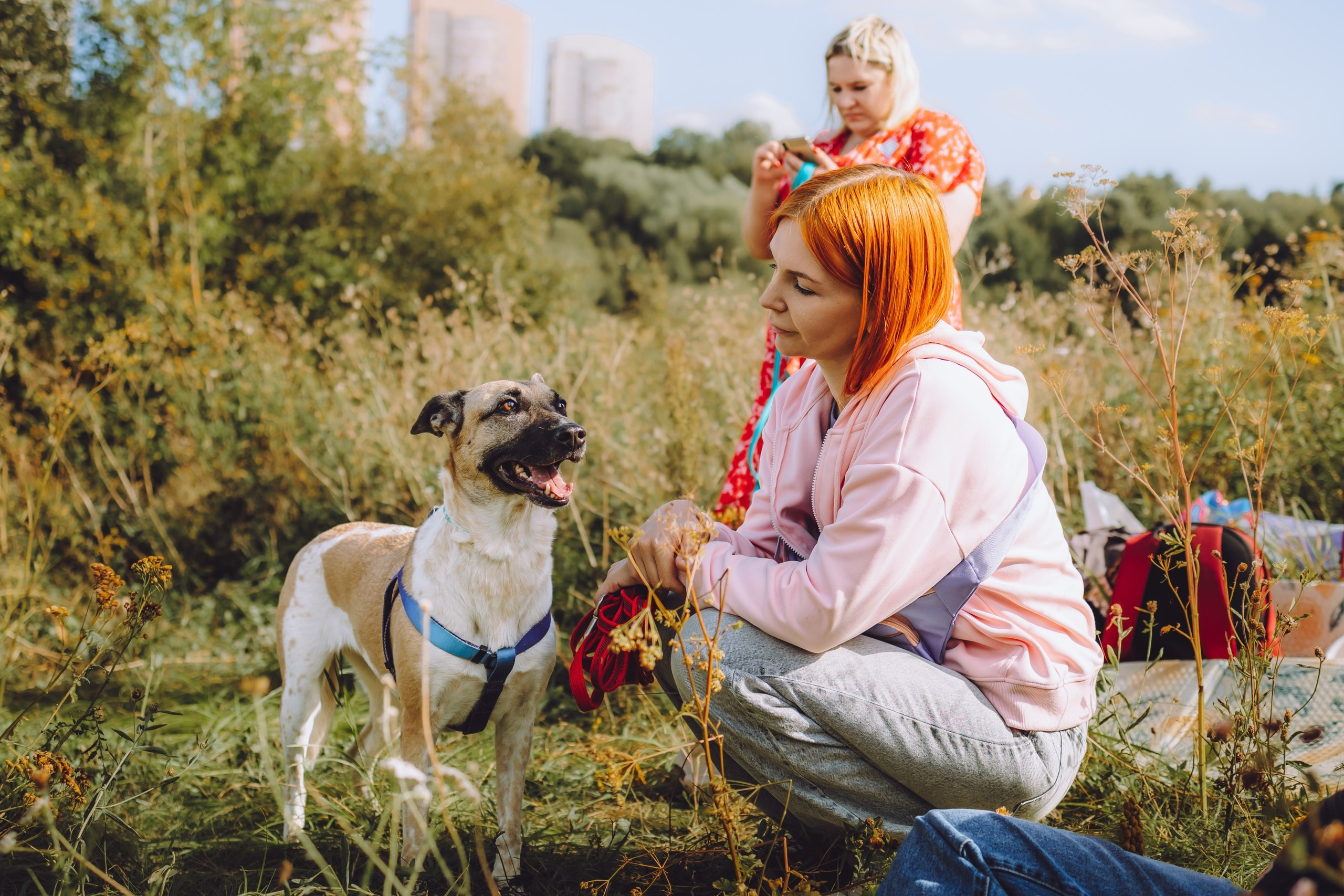 Встреча выпускников Kotofeiyski. Семейный фотограф животных, анималист в Москве Екатерина Киреева