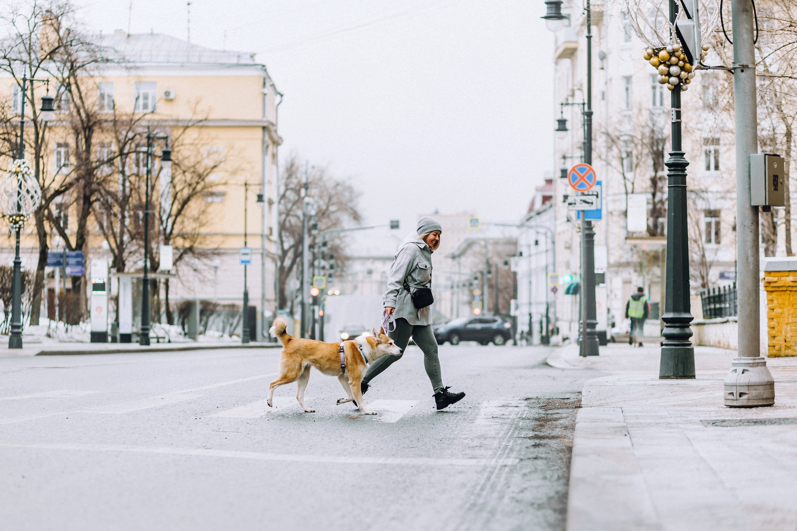 Где провести фотосессию с собакой в Москве: мои любимые места. Семейный фотограф животных, анималист в Москве Екатерина Киреева