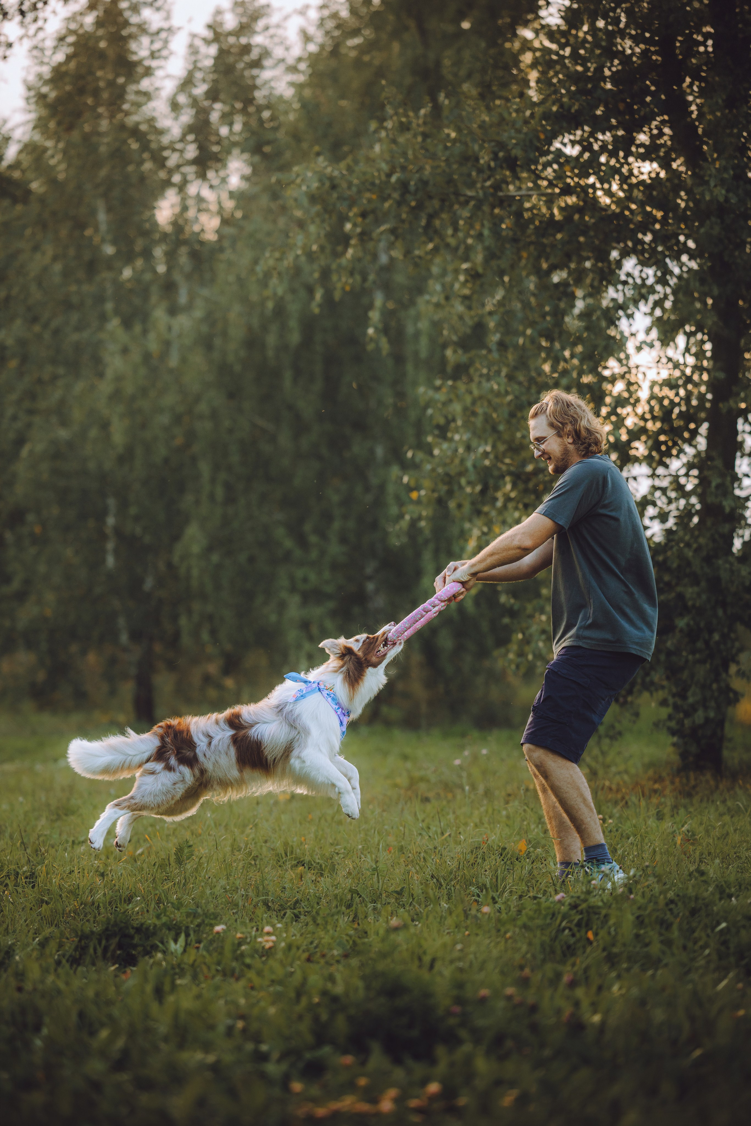 Шерлок и его семья. Семейный фотограф животных, анималист в Москве Екатерина Киреева