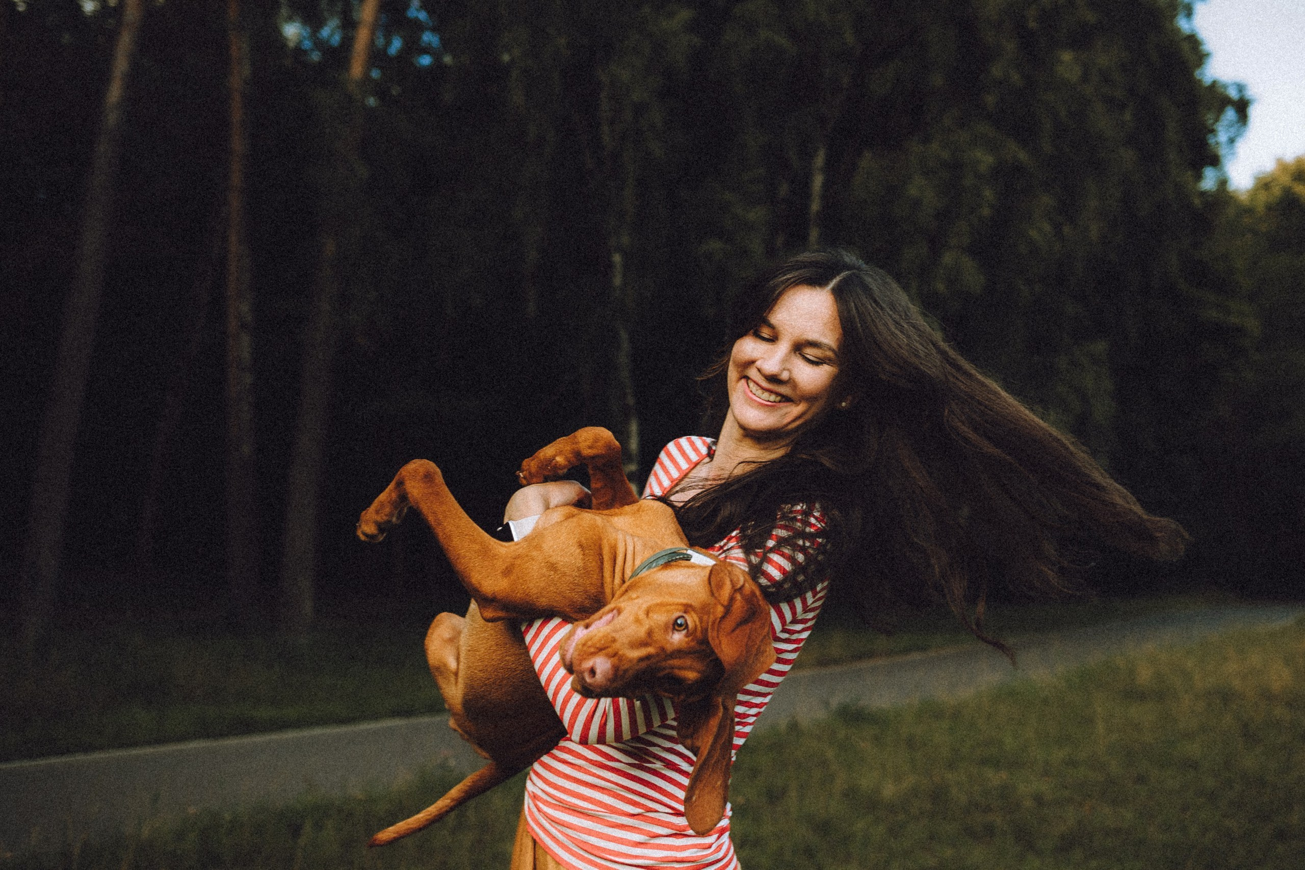 Где провести фотосессию с собакой в Москве: мои любимые места. Семейный фотограф животных, анималист в Москве Екатерина Киреева