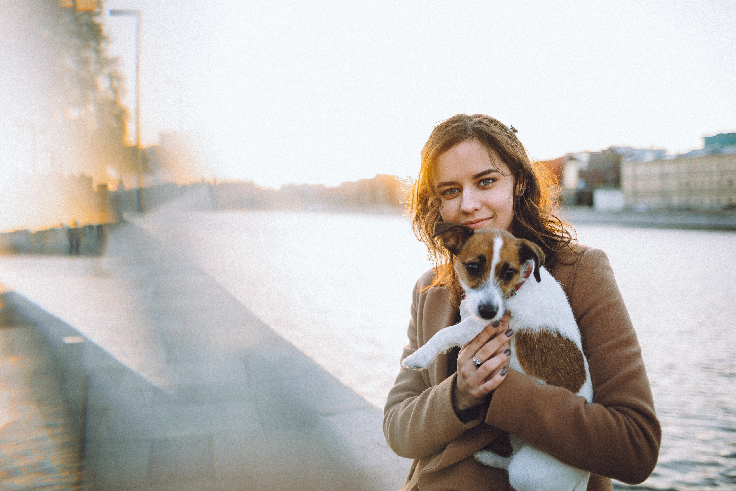 Где провести фотосессию с собакой в Москве: мои любимые места. Семейный фотограф животных, анималист в Москве Екатерина Киреева