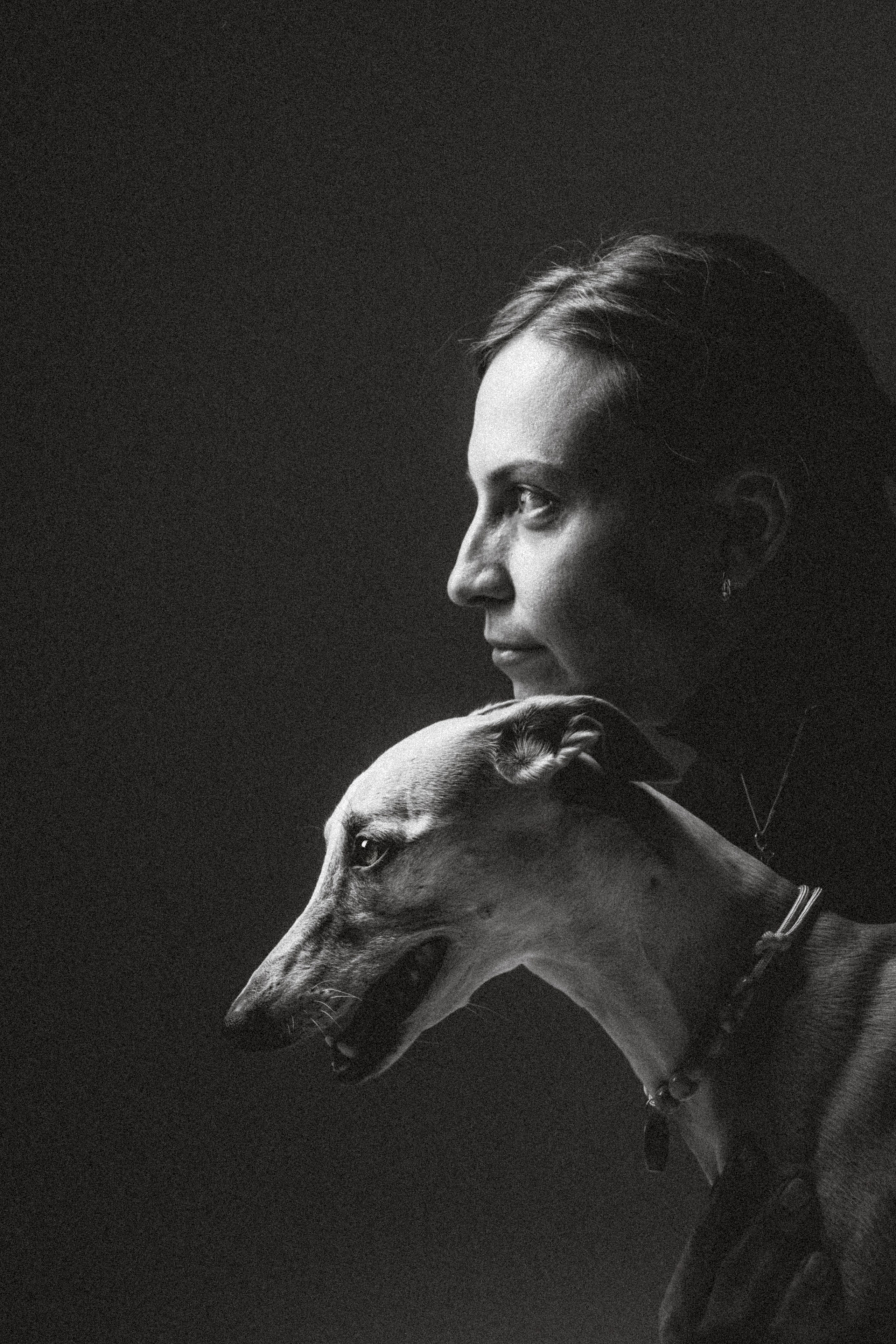 Оксана, Энигма и Мелодия. Семейный фотограф животных, анималист в Москве Екатерина Киреева