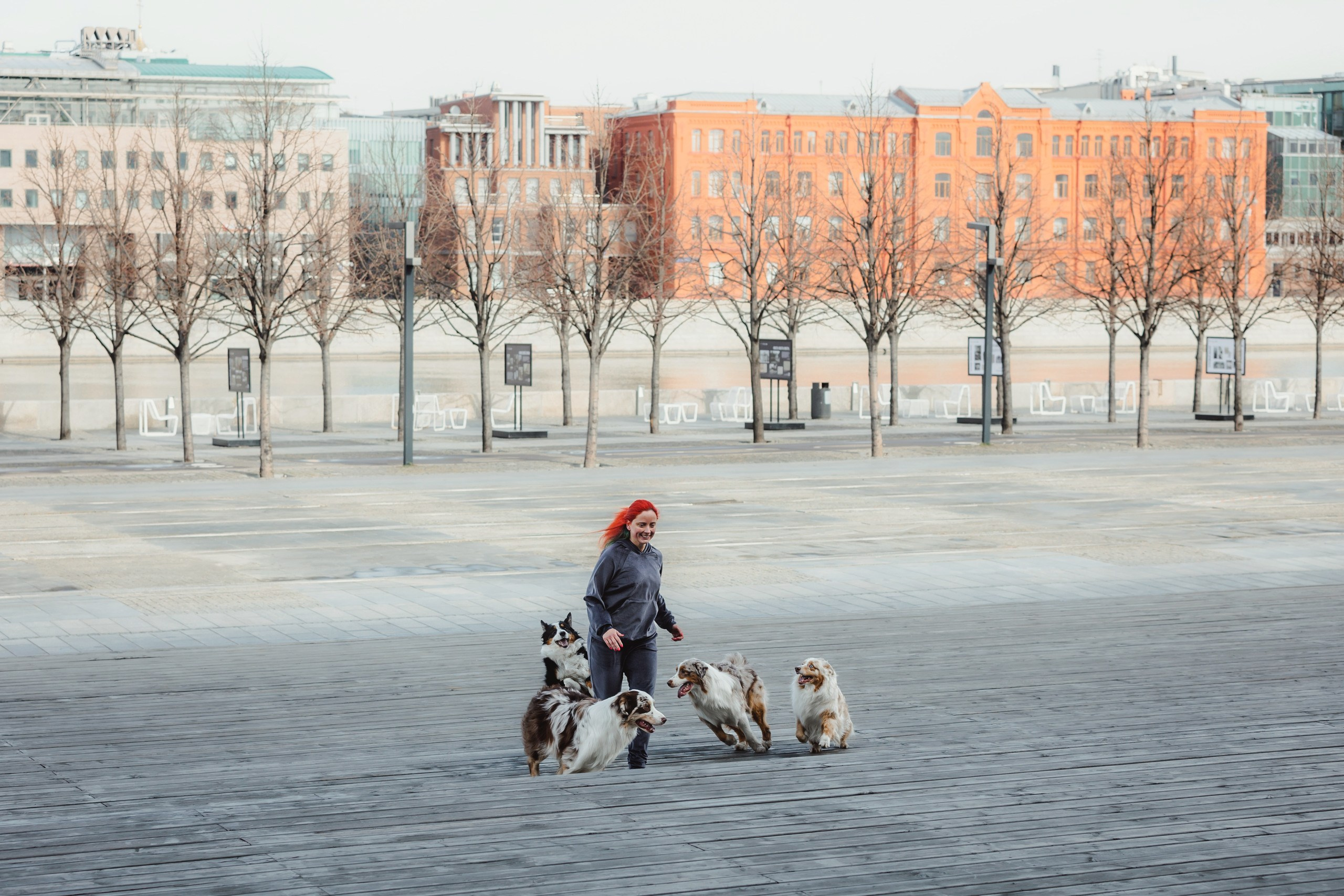 Где провести фотосессию с собакой в Москве: мои любимые места. Семейный фотограф животных, анималист в Москве Екатерина Киреева