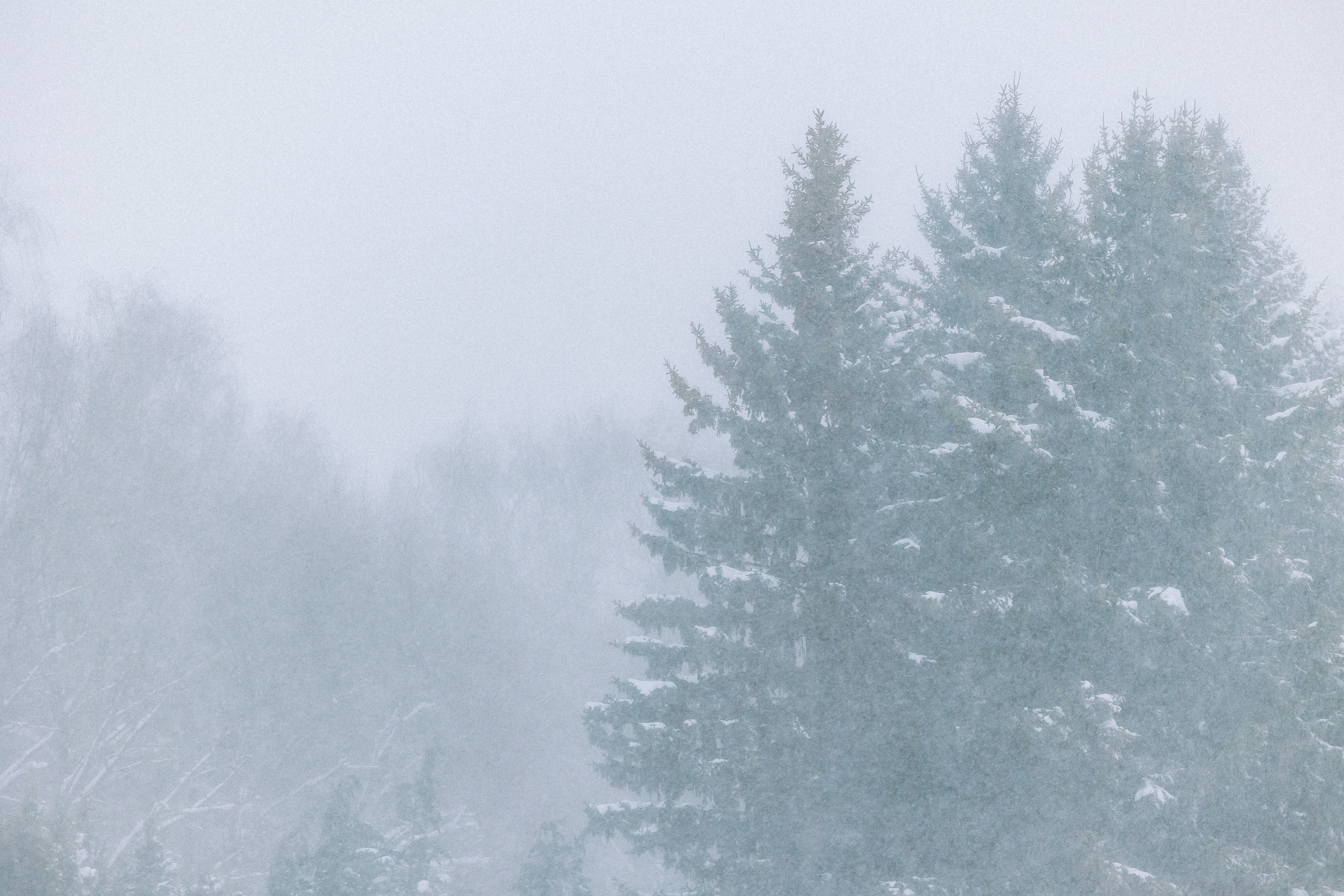 Юля и Юпитер