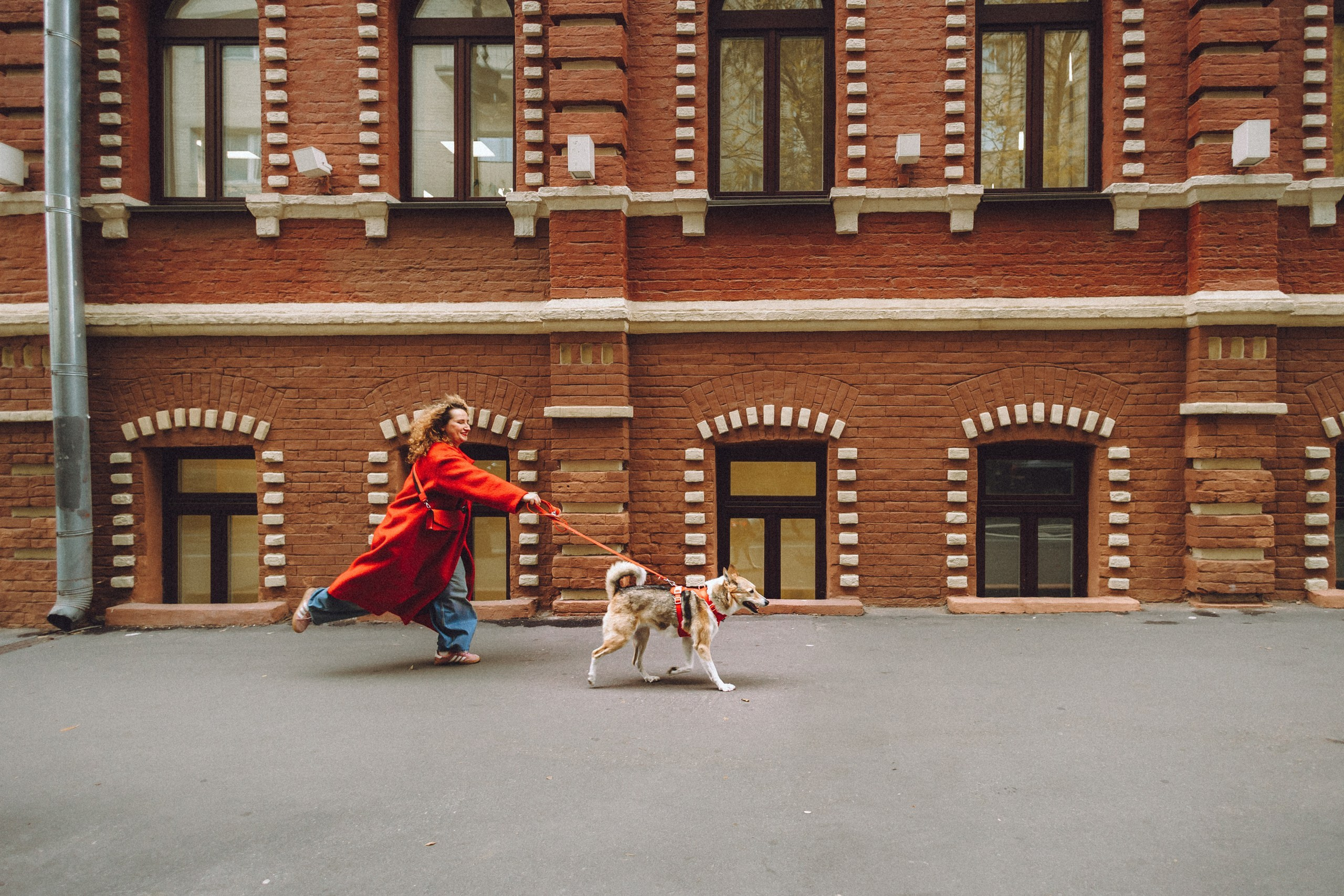 Где провести фотосессию с собакой в Москве: мои любимые места. Семейный фотограф животных, анималист в Москве Екатерина Киреева