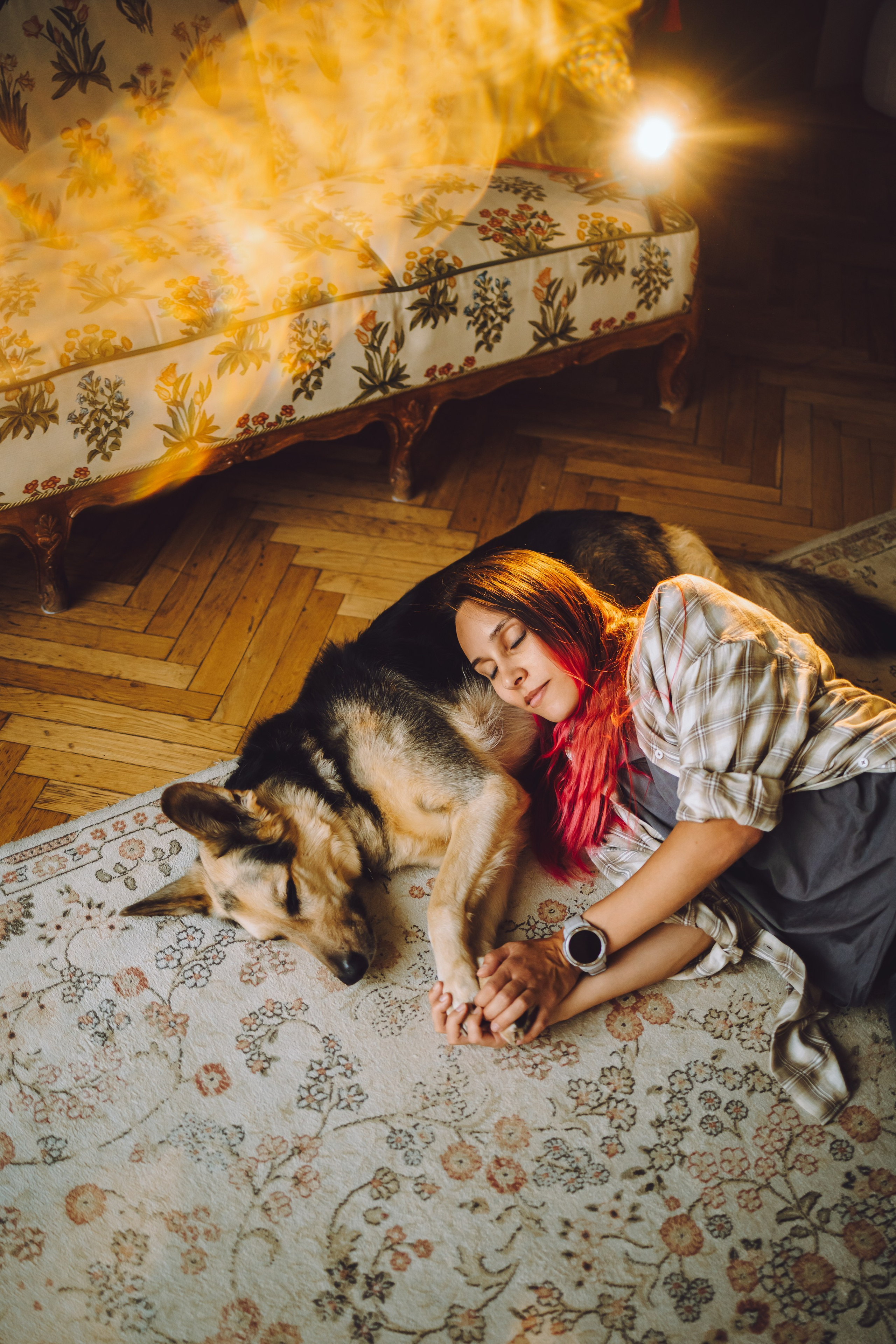 Джессика, Патрик и их семья. Семейный фотограф животных, анималист в Москве Екатерина Киреева