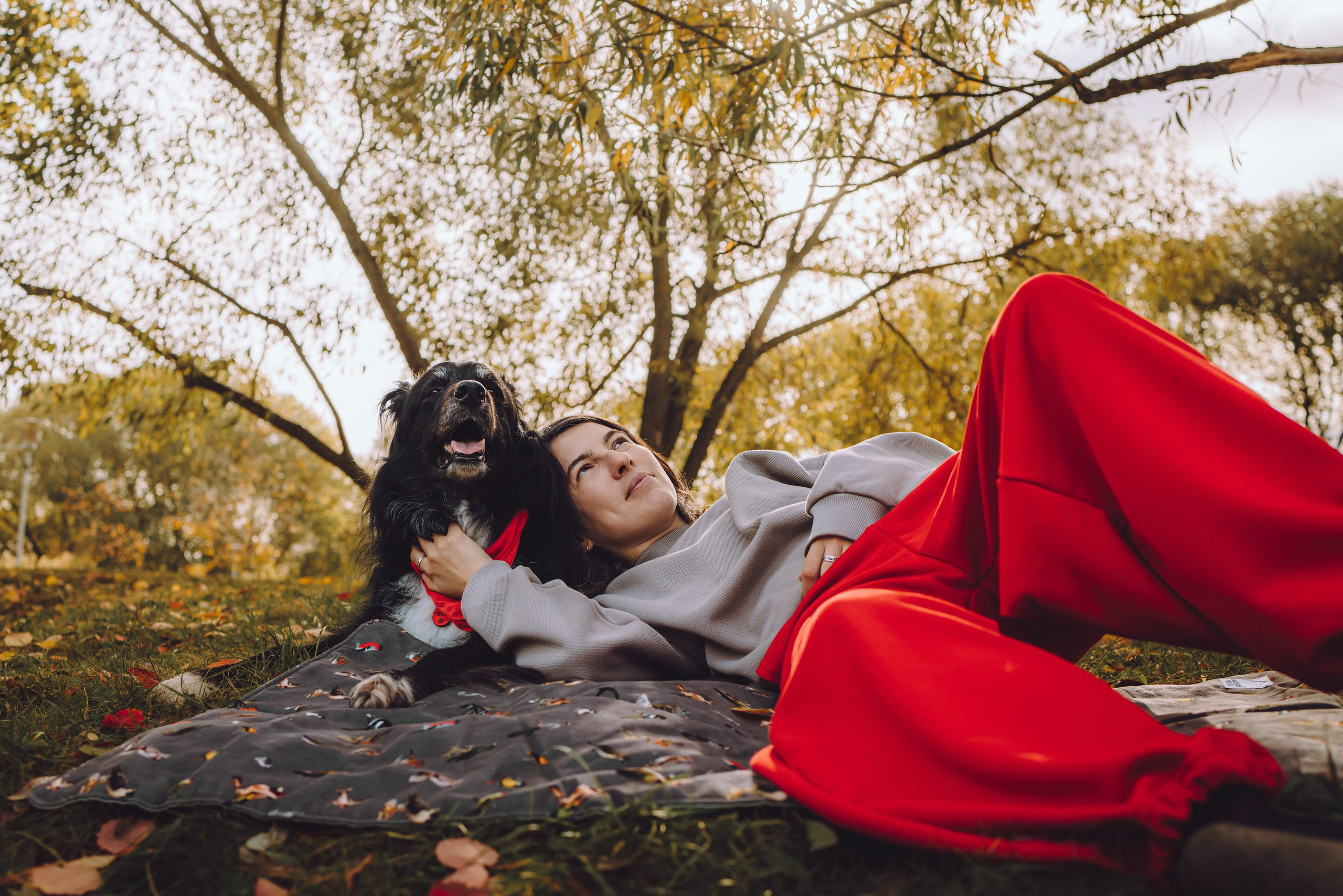 Диана и Чили. Семейный фотограф животных, анималист в Москве Екатерина Киреева