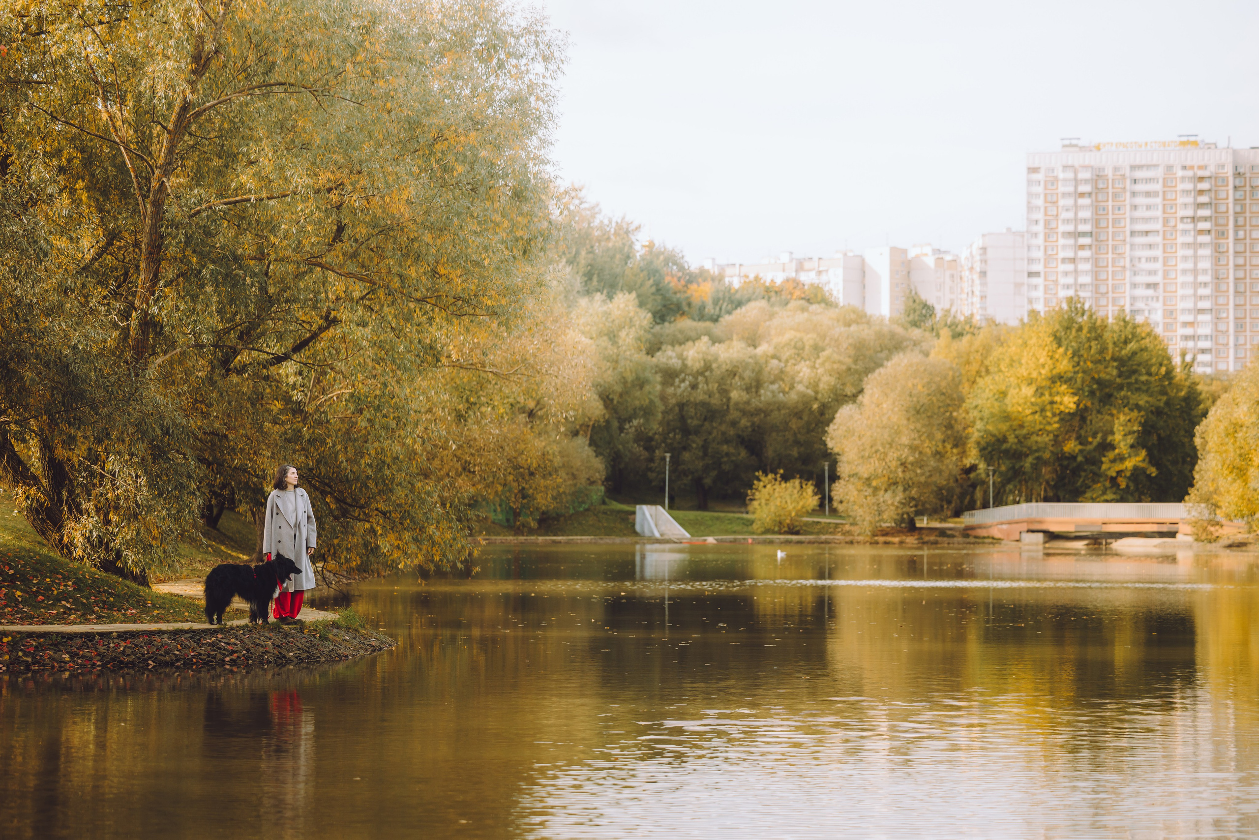 Диана и Чили. Семейный фотограф животных, анималист в Москве Екатерина Киреева
