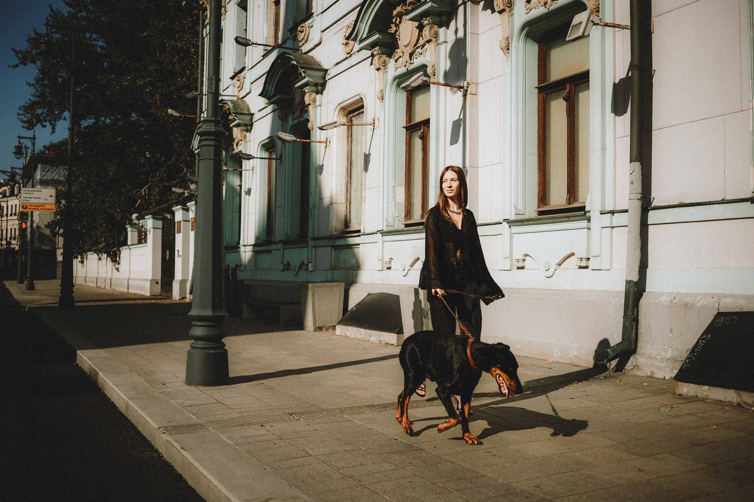 Где провести фотосессию с собакой в Москве: мои любимые места. Семейный фотограф животных, анималист в Москве Екатерина Киреева