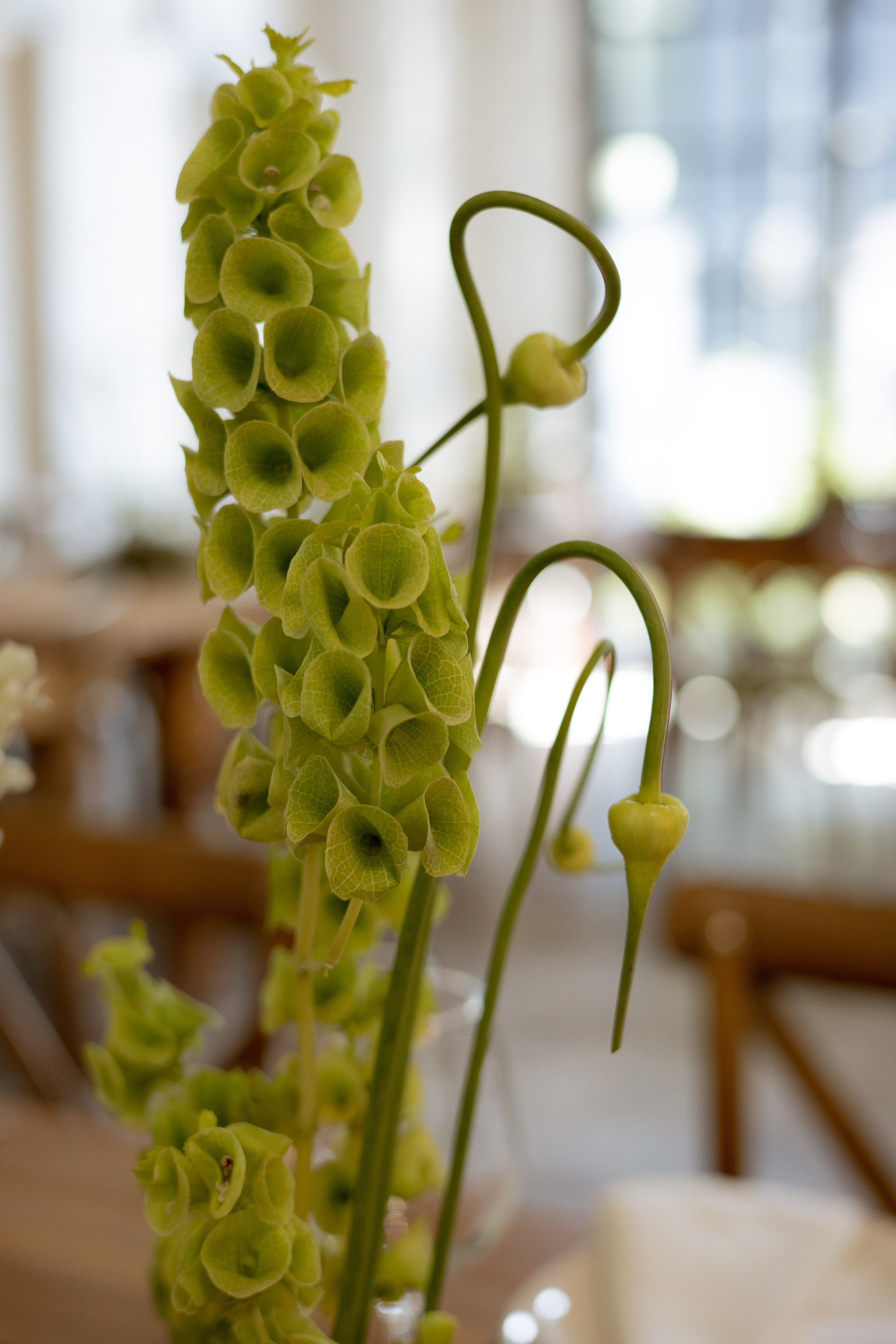 Никита & Катя. Оформление свадеб, декор свадеб Вера Маркова, Москва