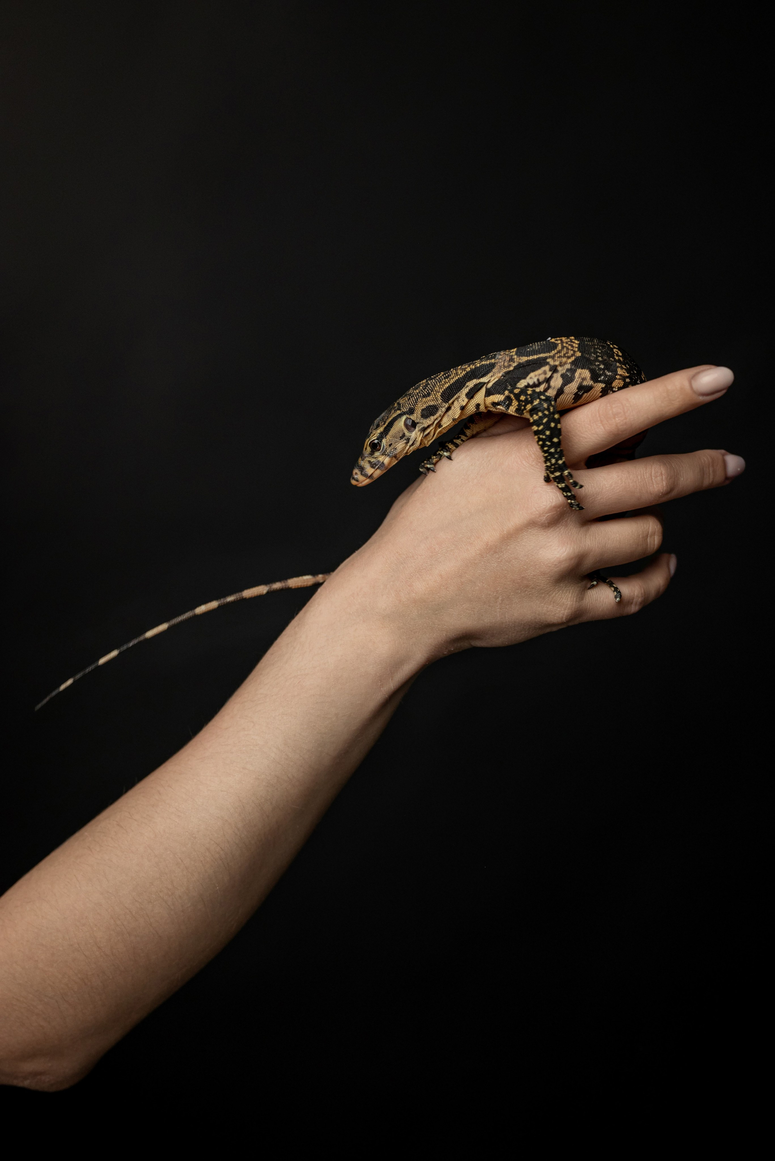 Кристина. Фотограф в городе Салават