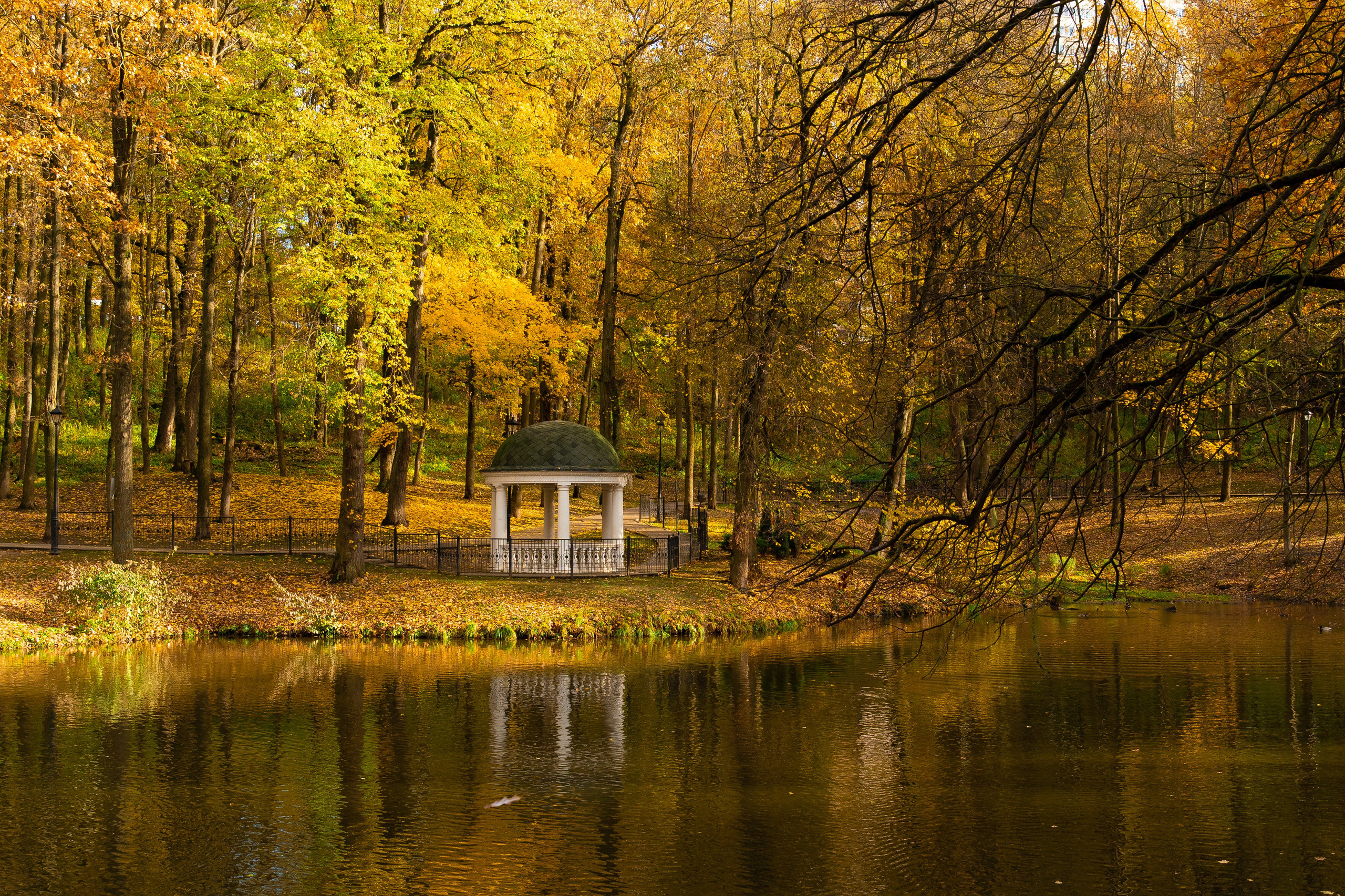 Платоновский парк. Фотограф и видеооператор в Туле | Даниил Рыбак