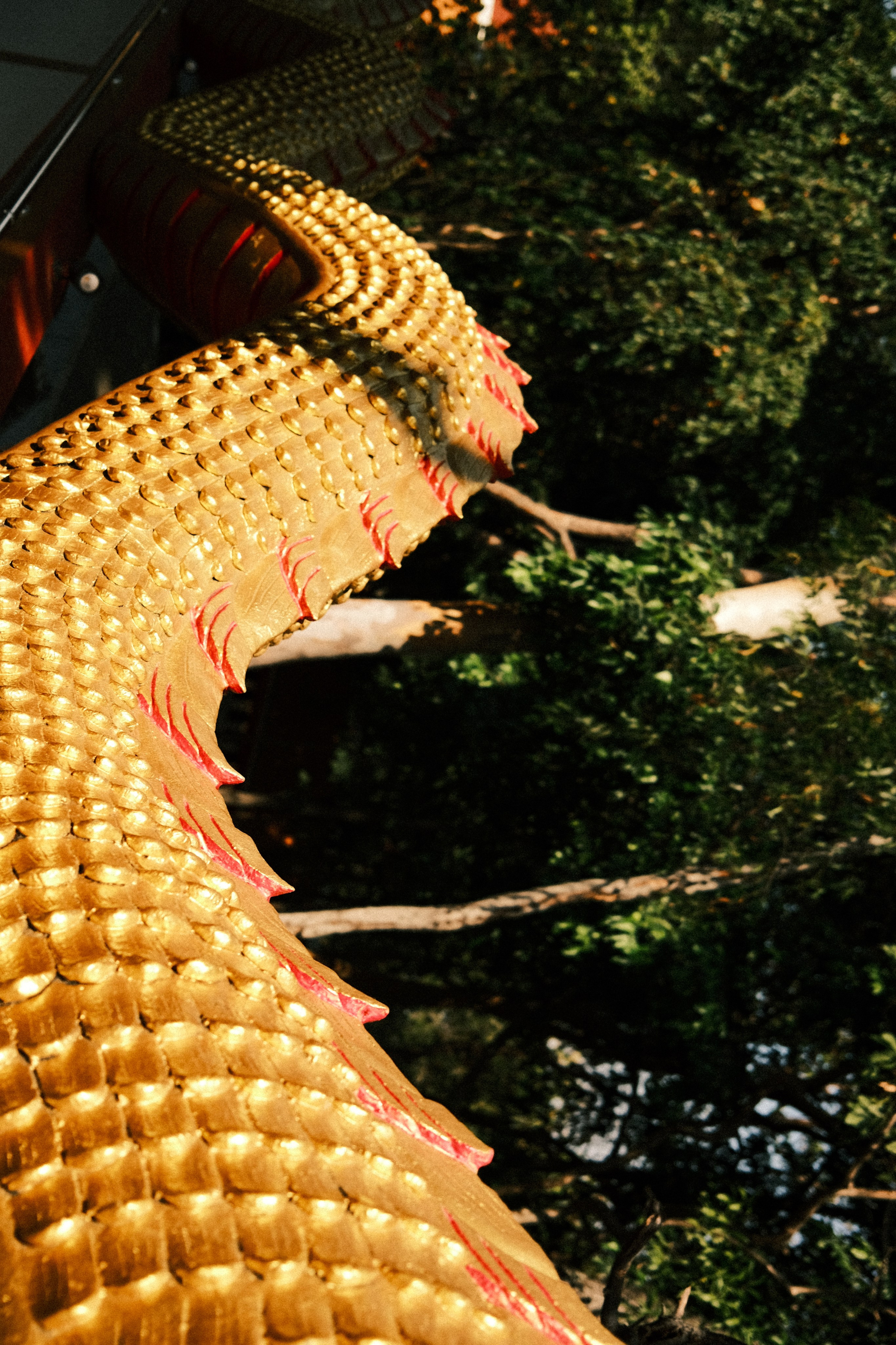 Прямолинейность. Портретный фотограф