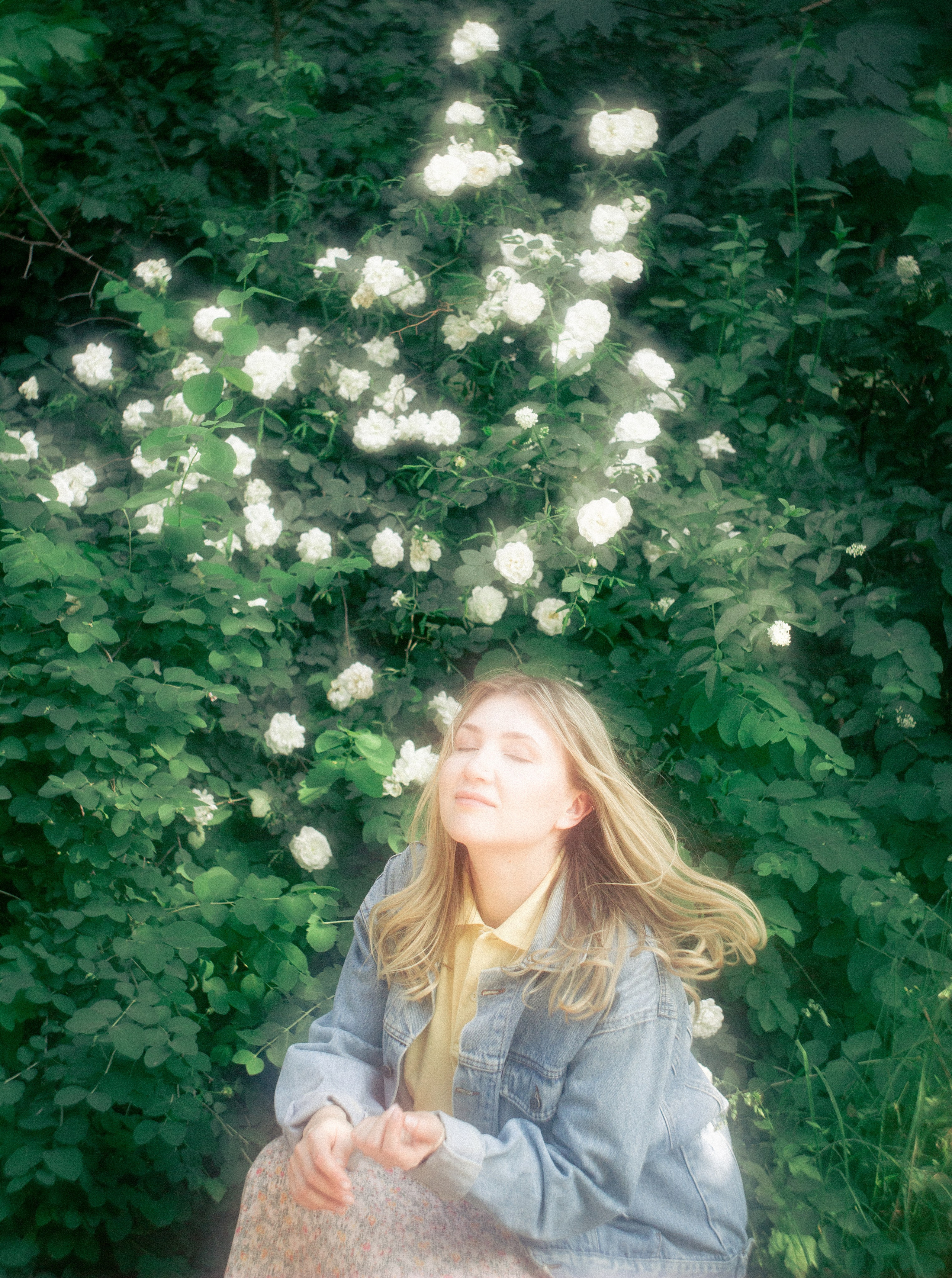 Летний сон. • Фотограф Александра Светозар Алчевск •